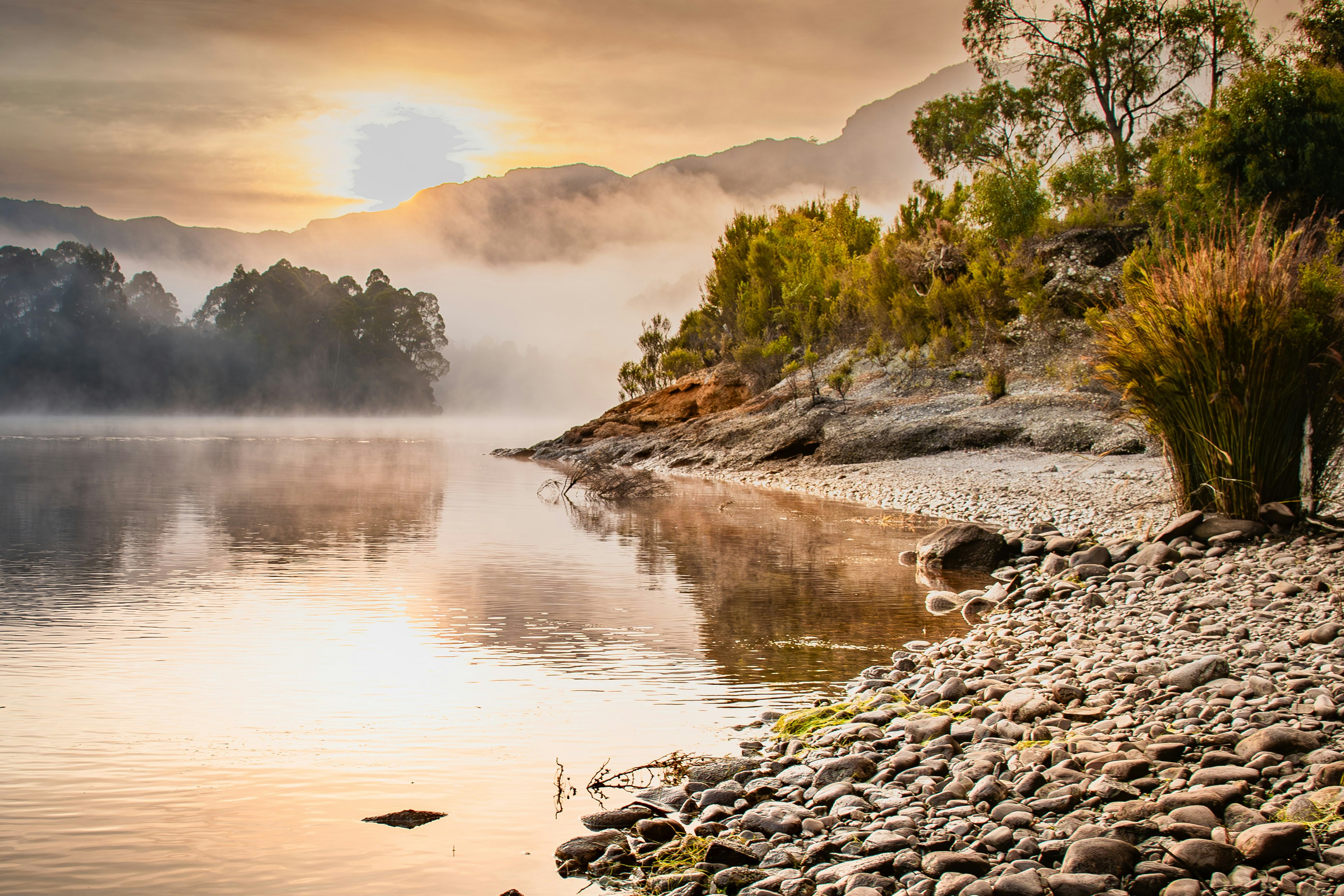 Photo by photosbyrachelo