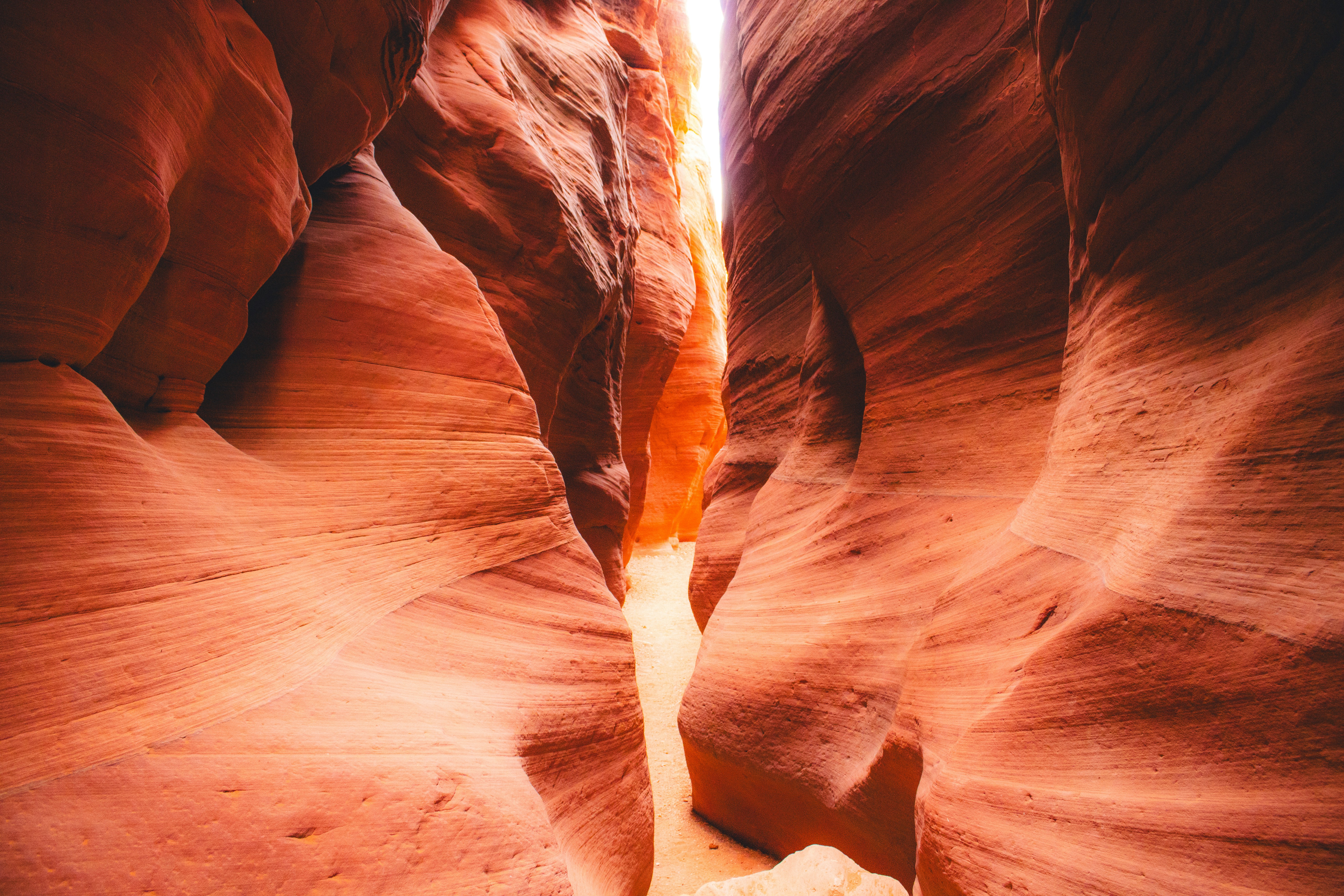 Photo by heberdavisphotography