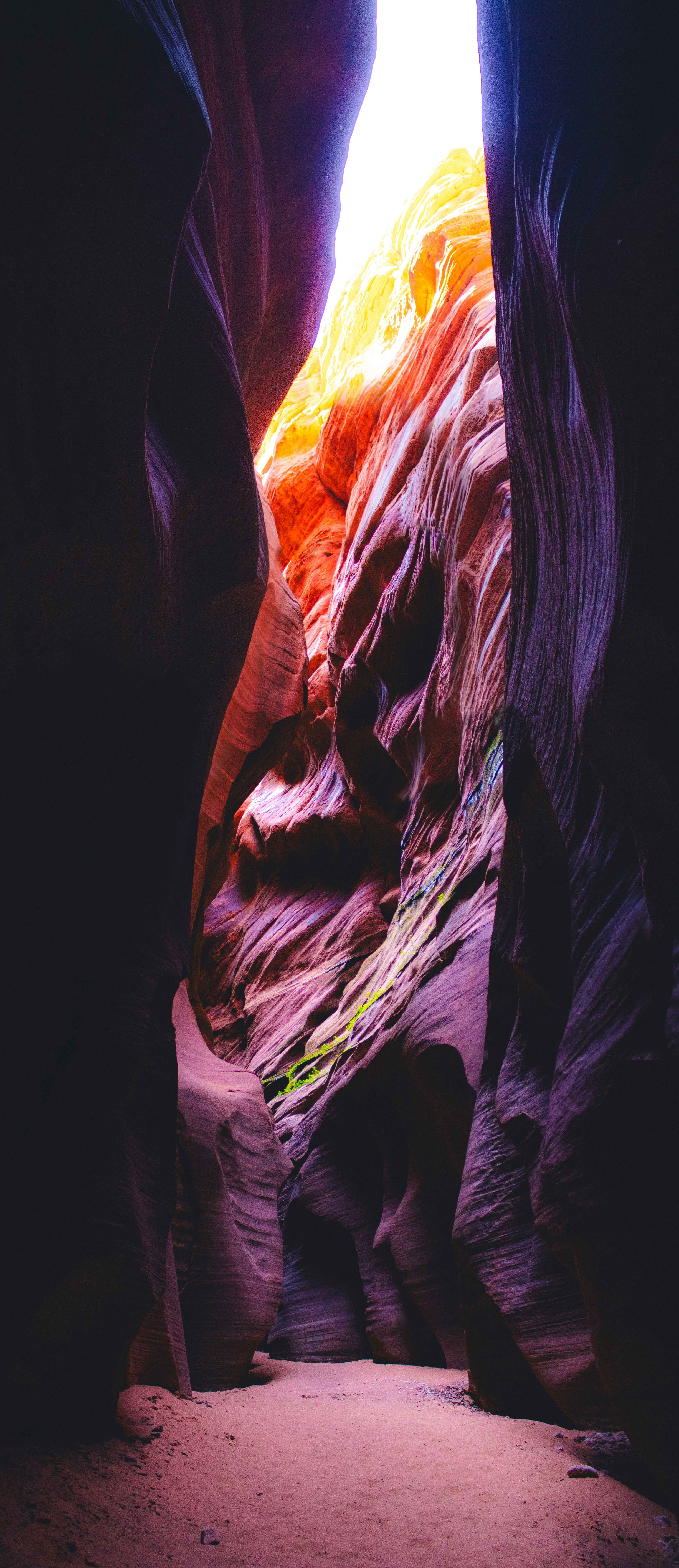 Photo by heberdavisphotography