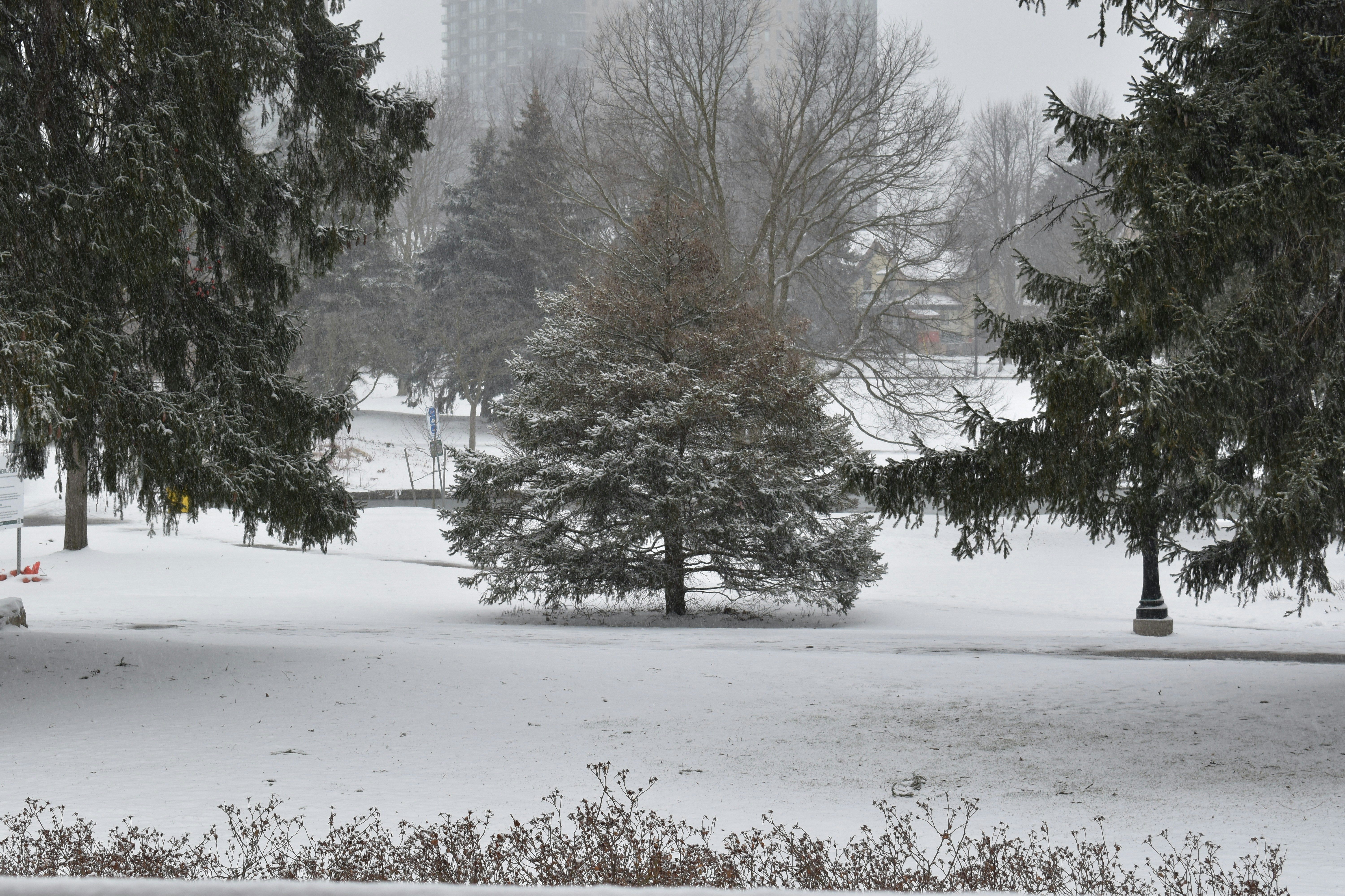 Photo by mapleleafofcanada