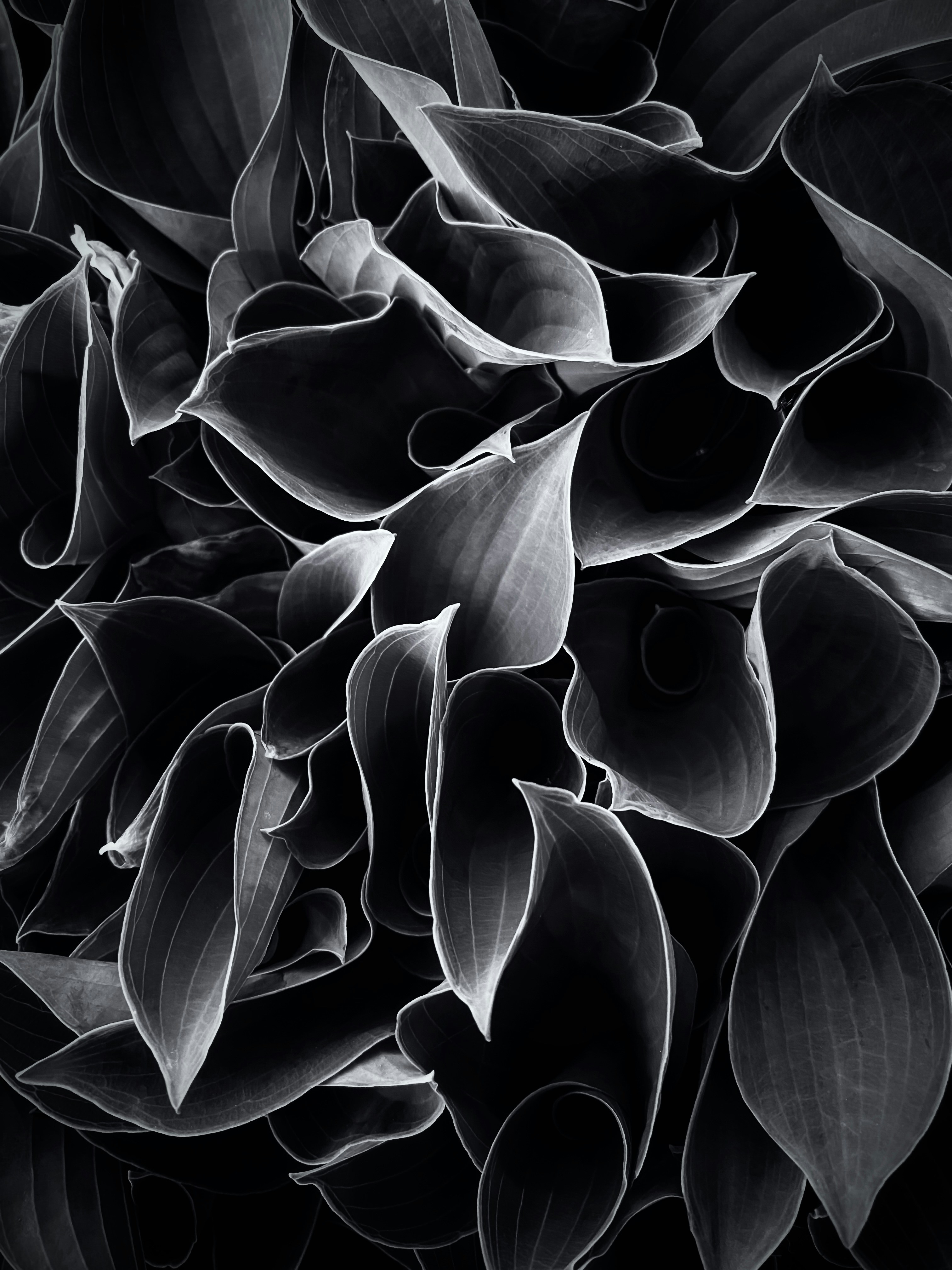 Photo by eugene_golovesov