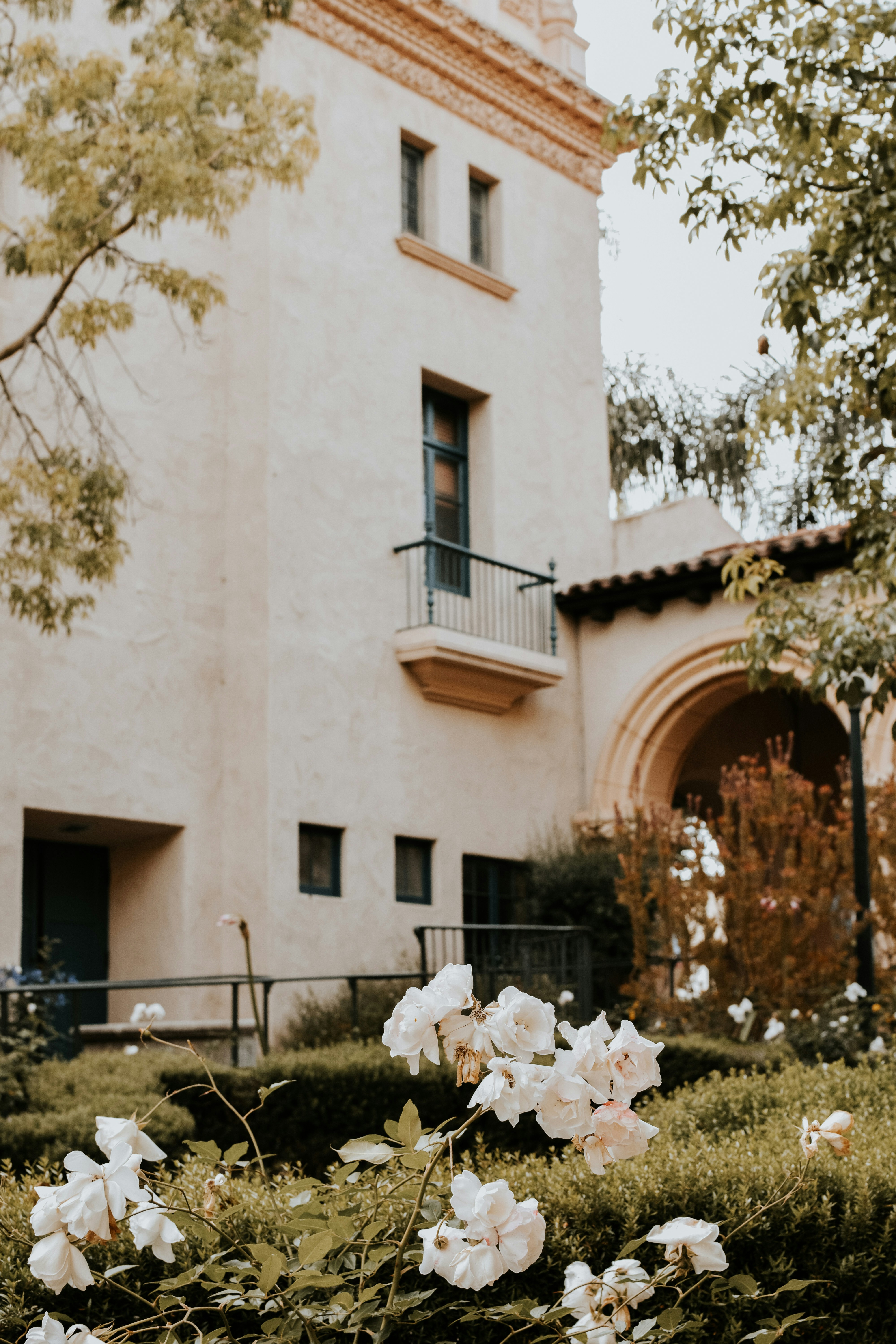 Photo by meganmajocha