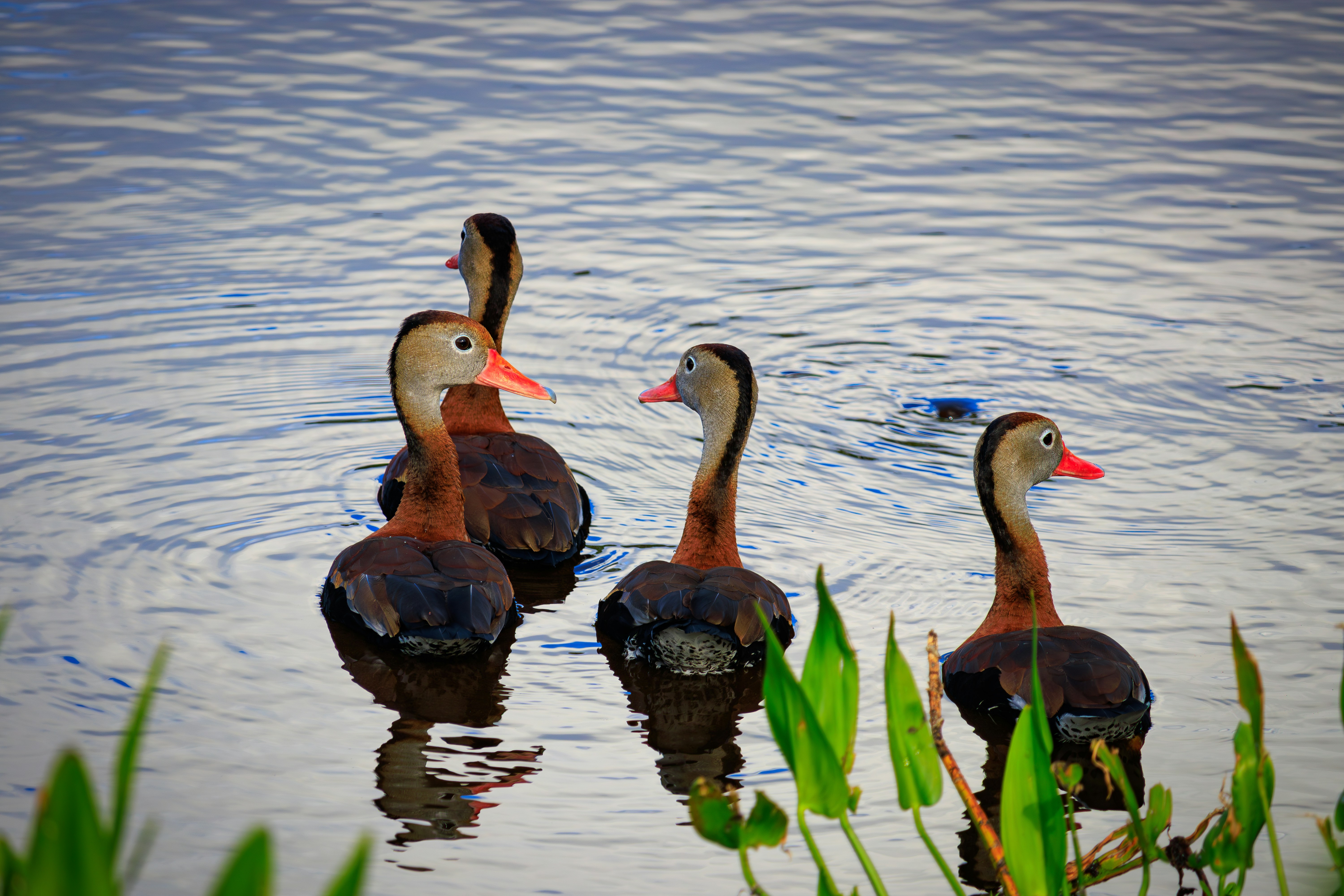 Photo by brice_cooper18