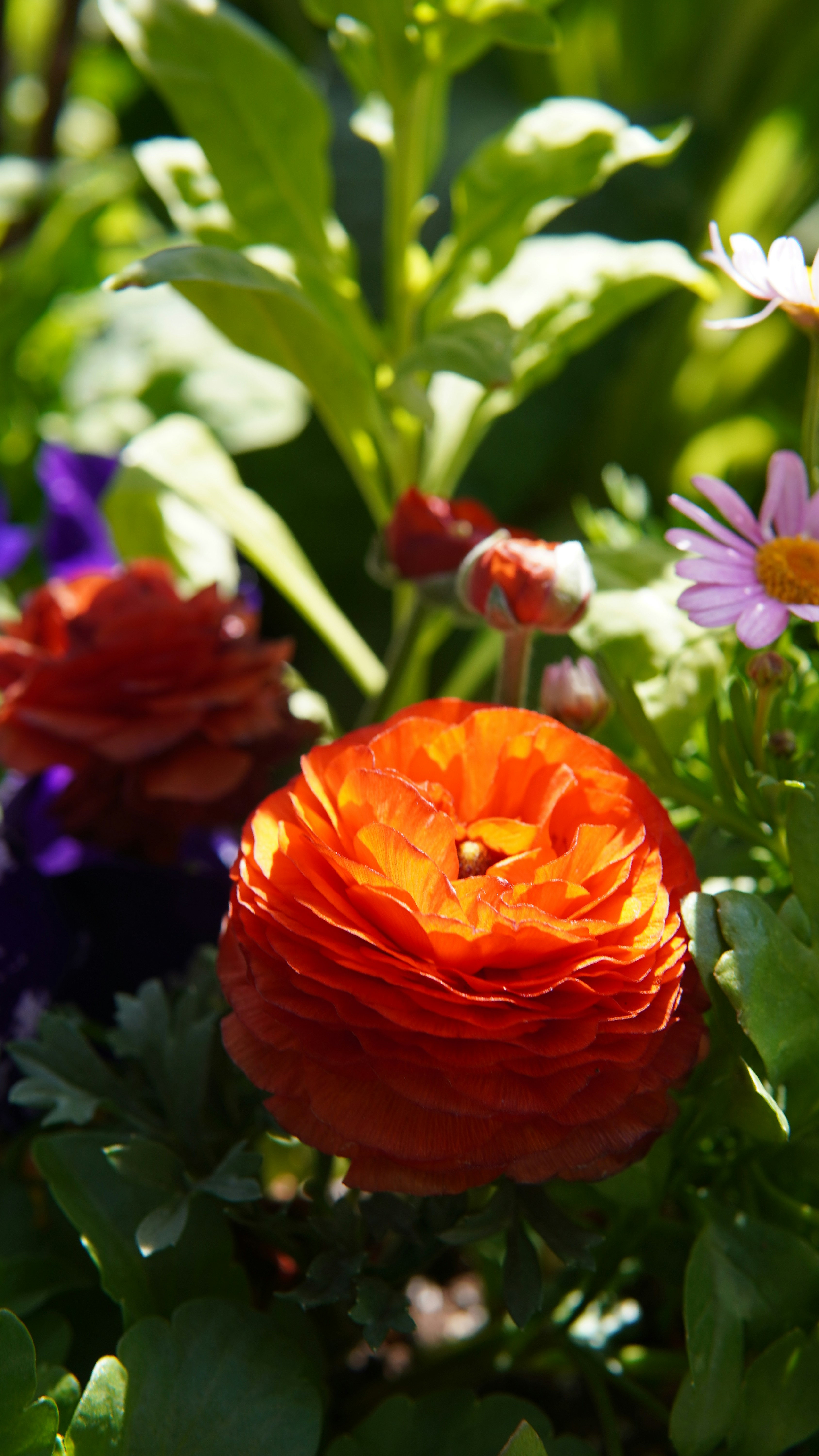 Photo by shijin_bensinger