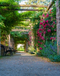 a pathway lined with lots of flowers next to a wooden bench