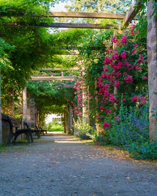 a pathway lined with lots of flowers next to a wooden bench