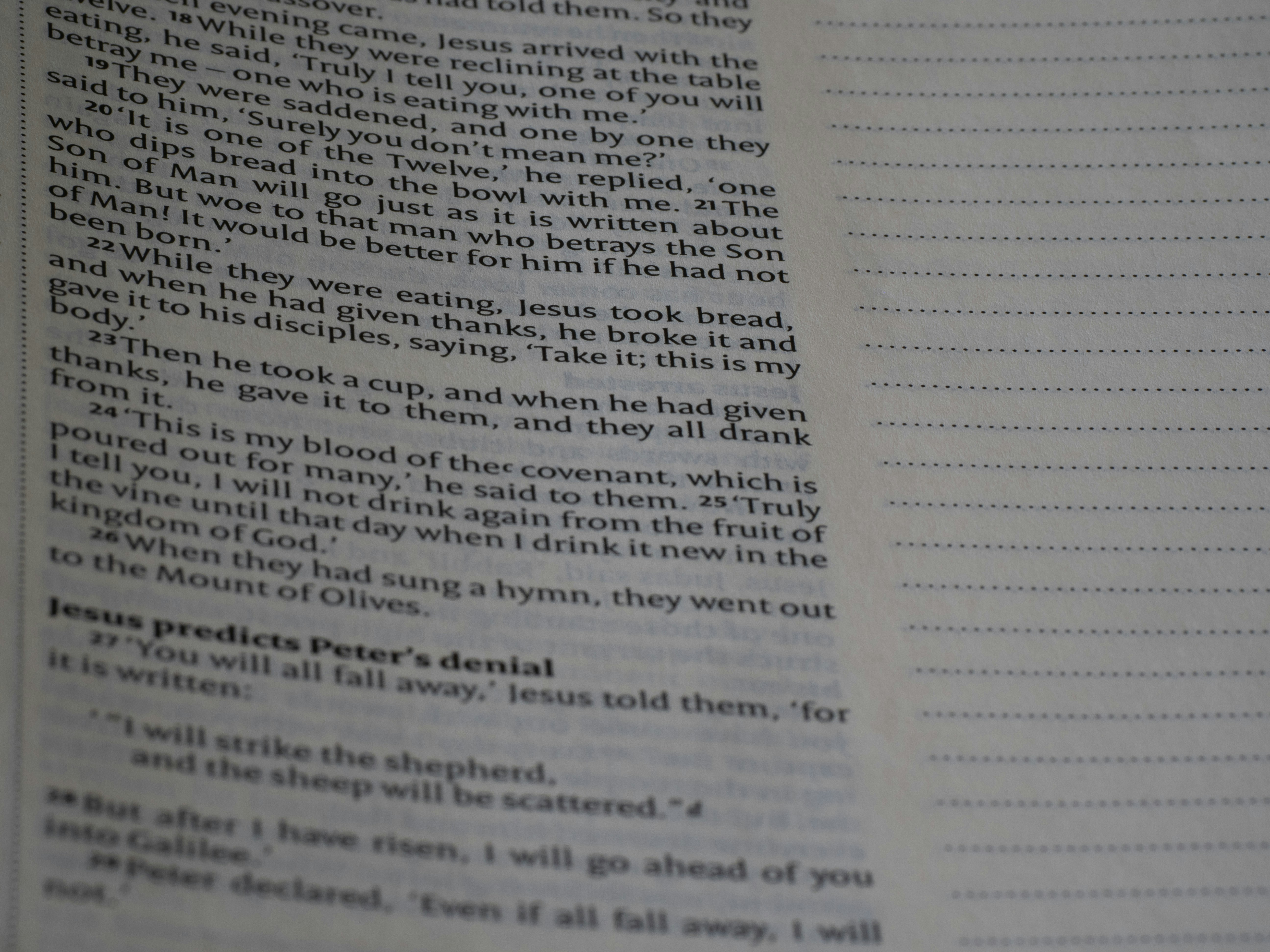 Photo by brett_jordan