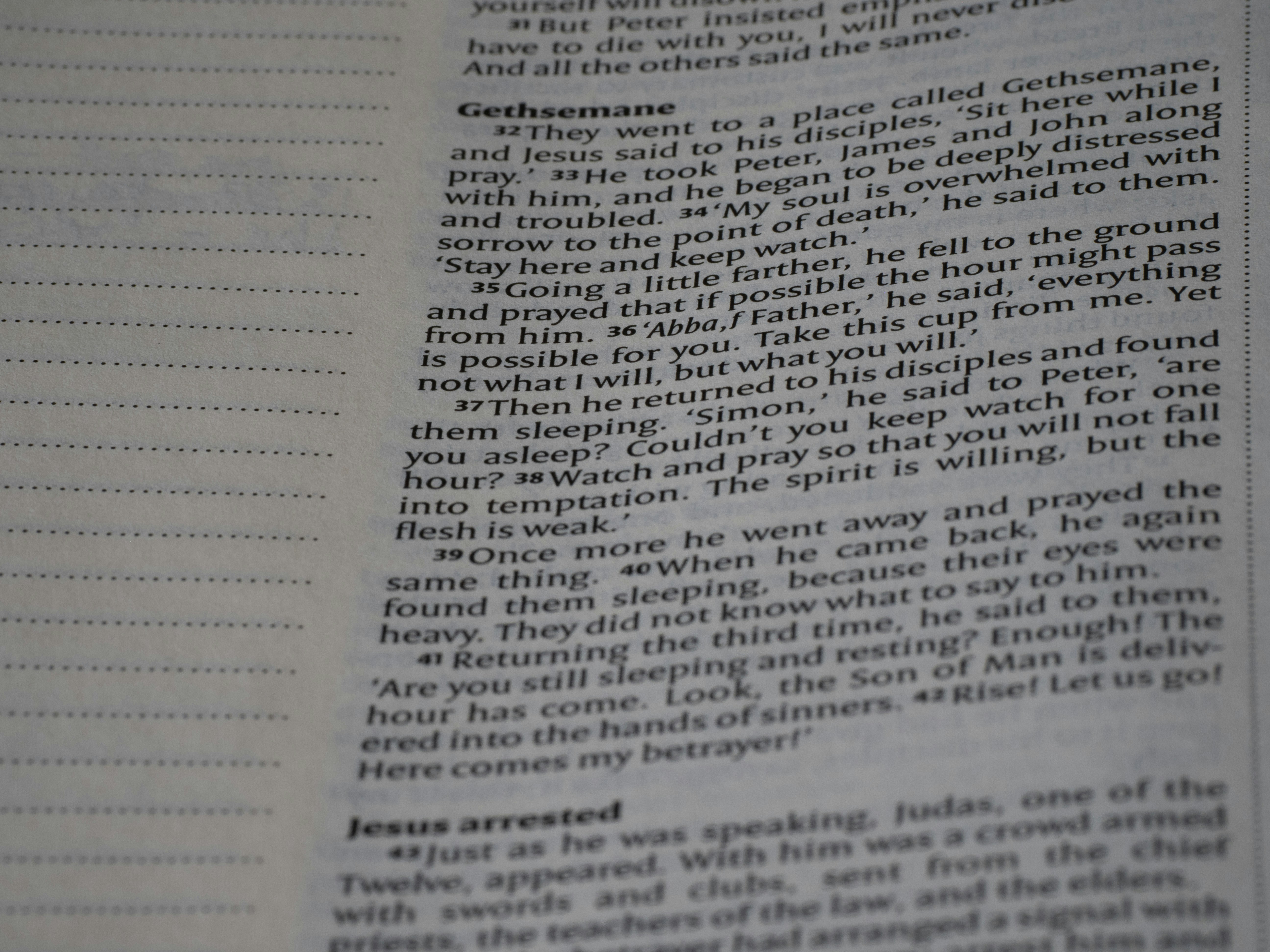 Photo by brett_jordan