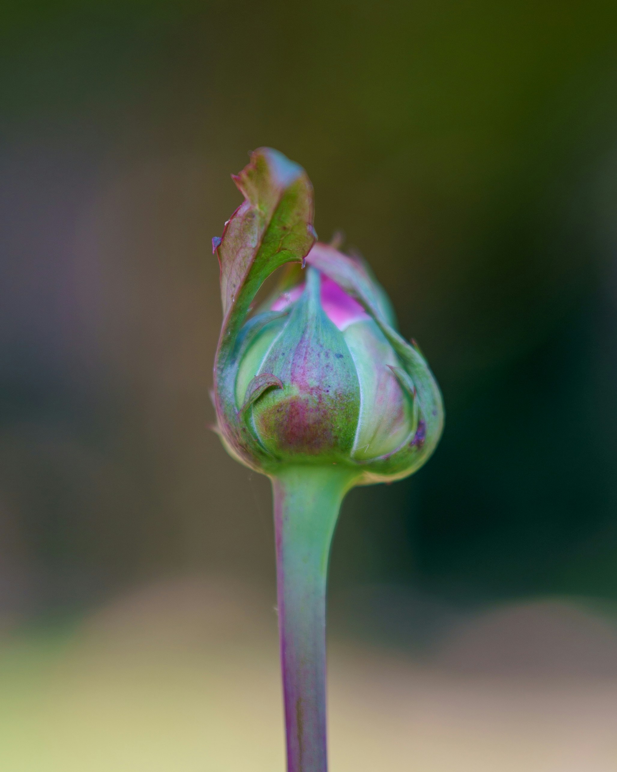 Photo by bangscreative