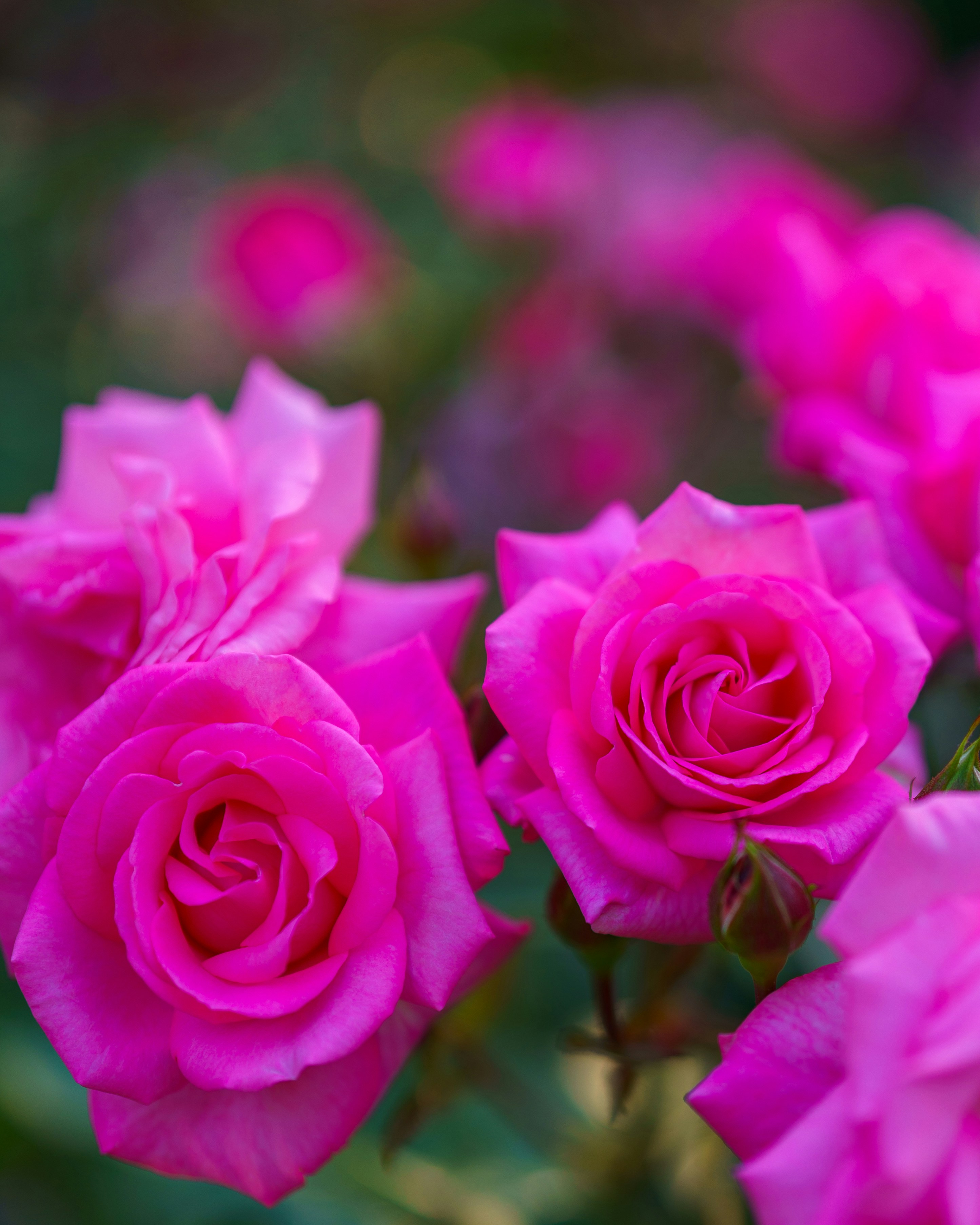 Photo by bangscreative