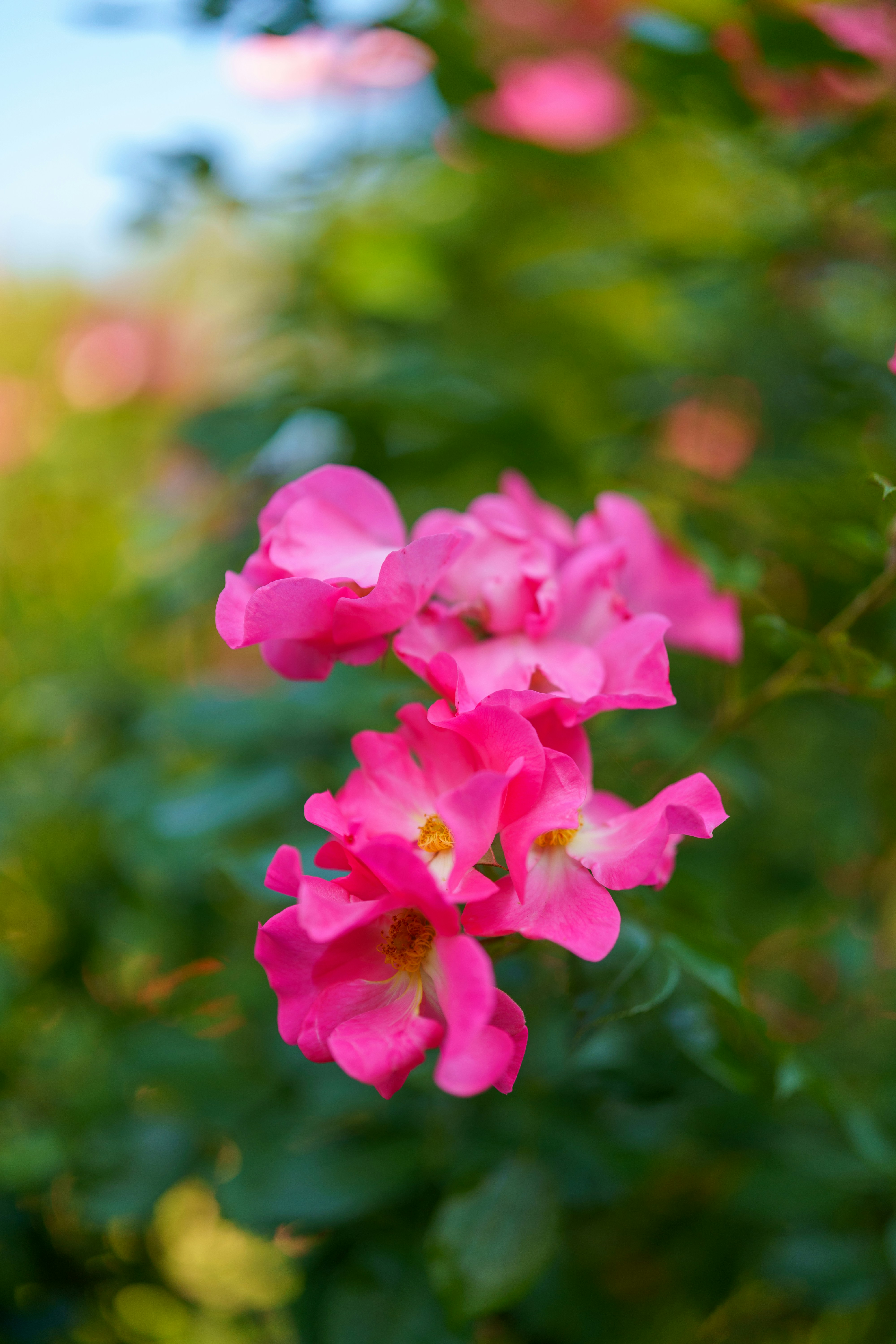 Photo by bangscreative