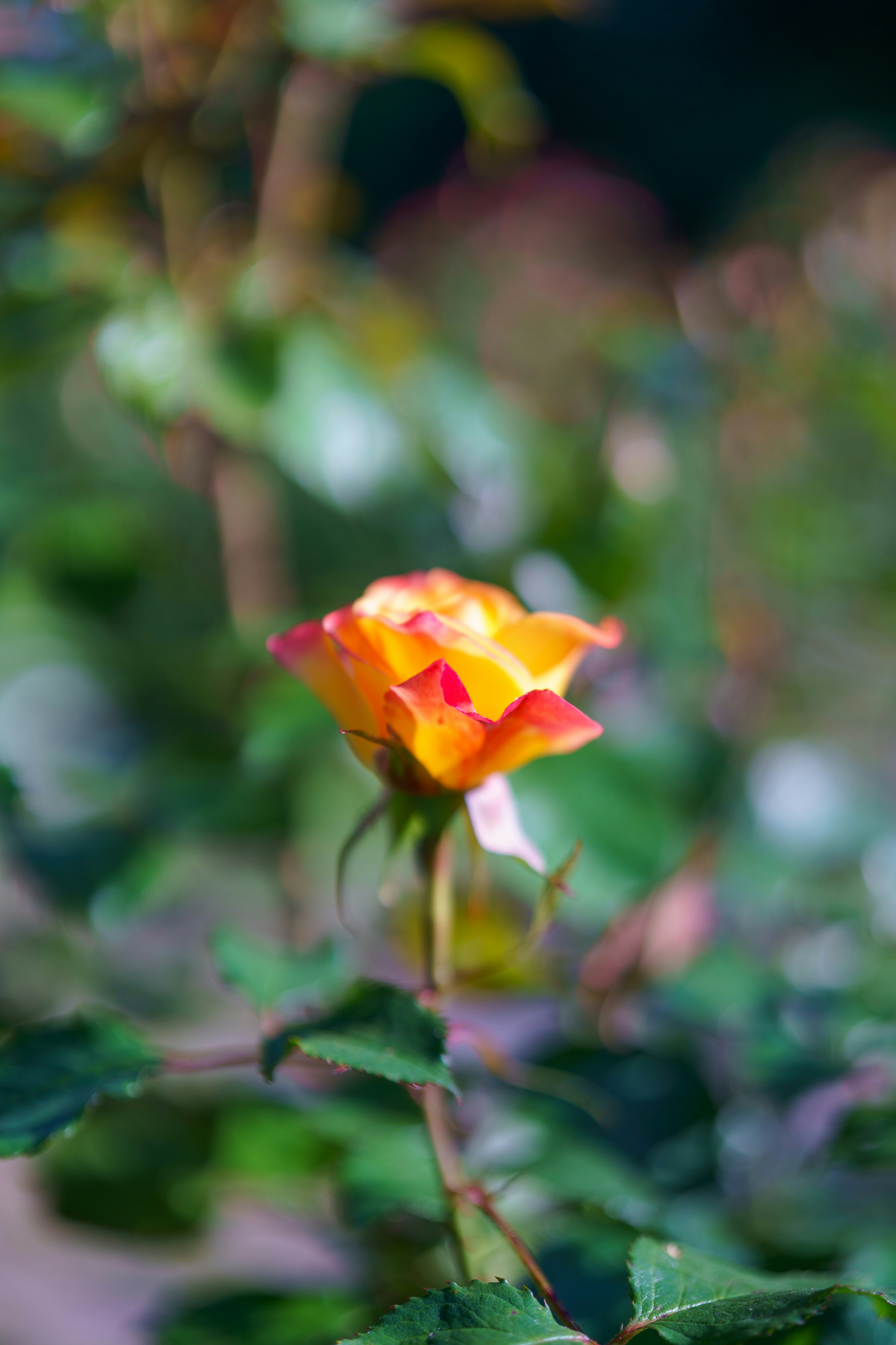 Photo by bangscreative