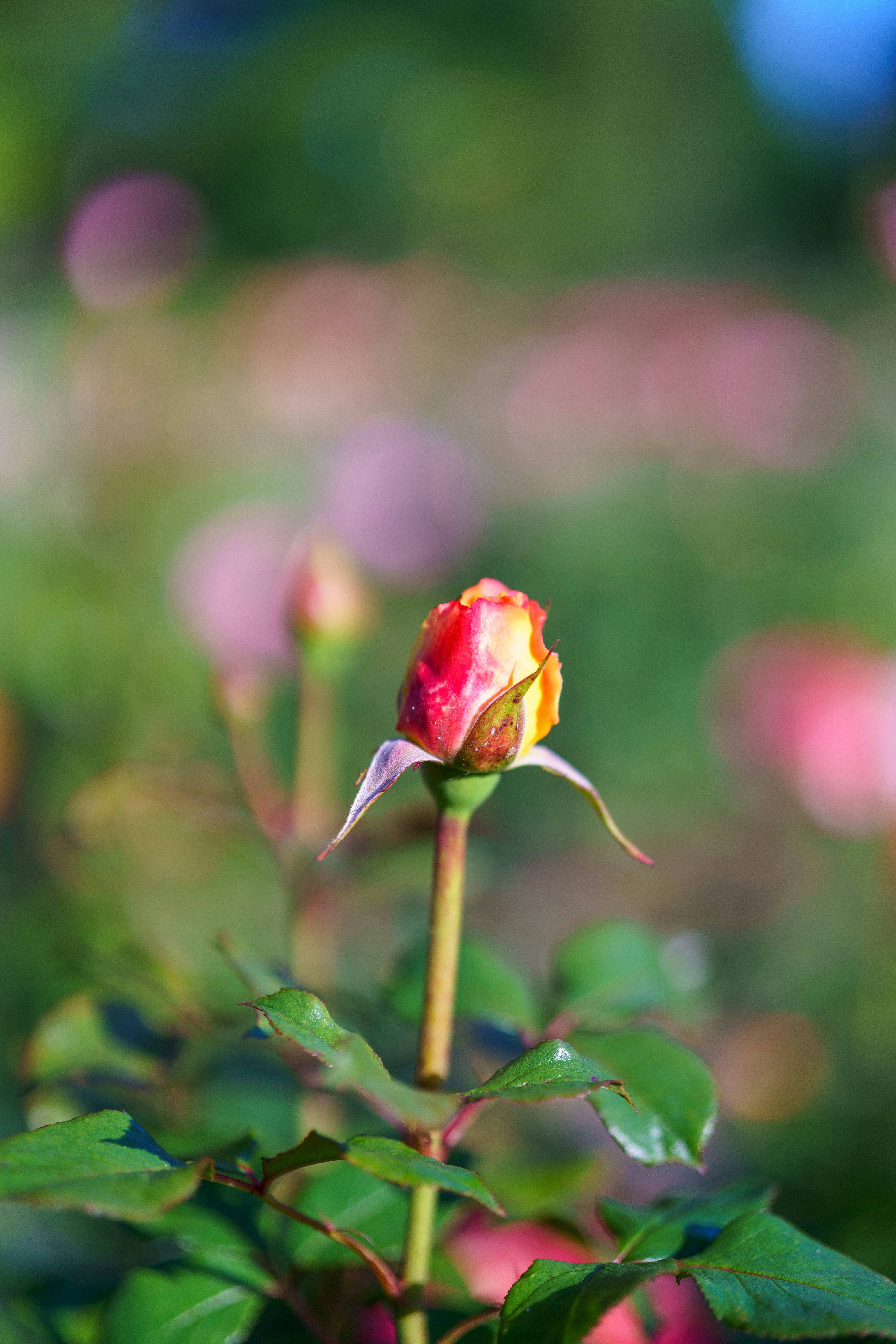 Photo by bangscreative