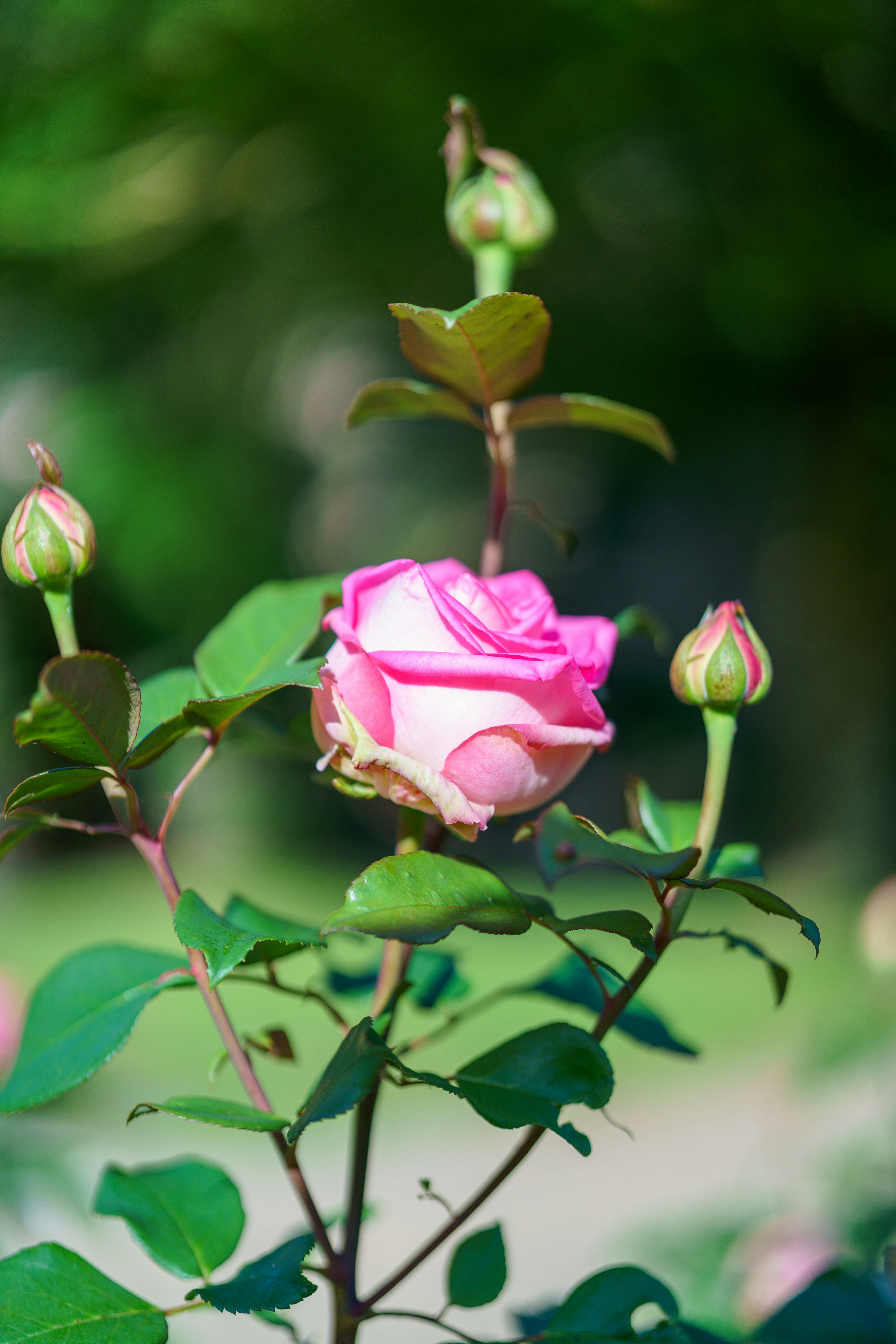 Photo by bangscreative