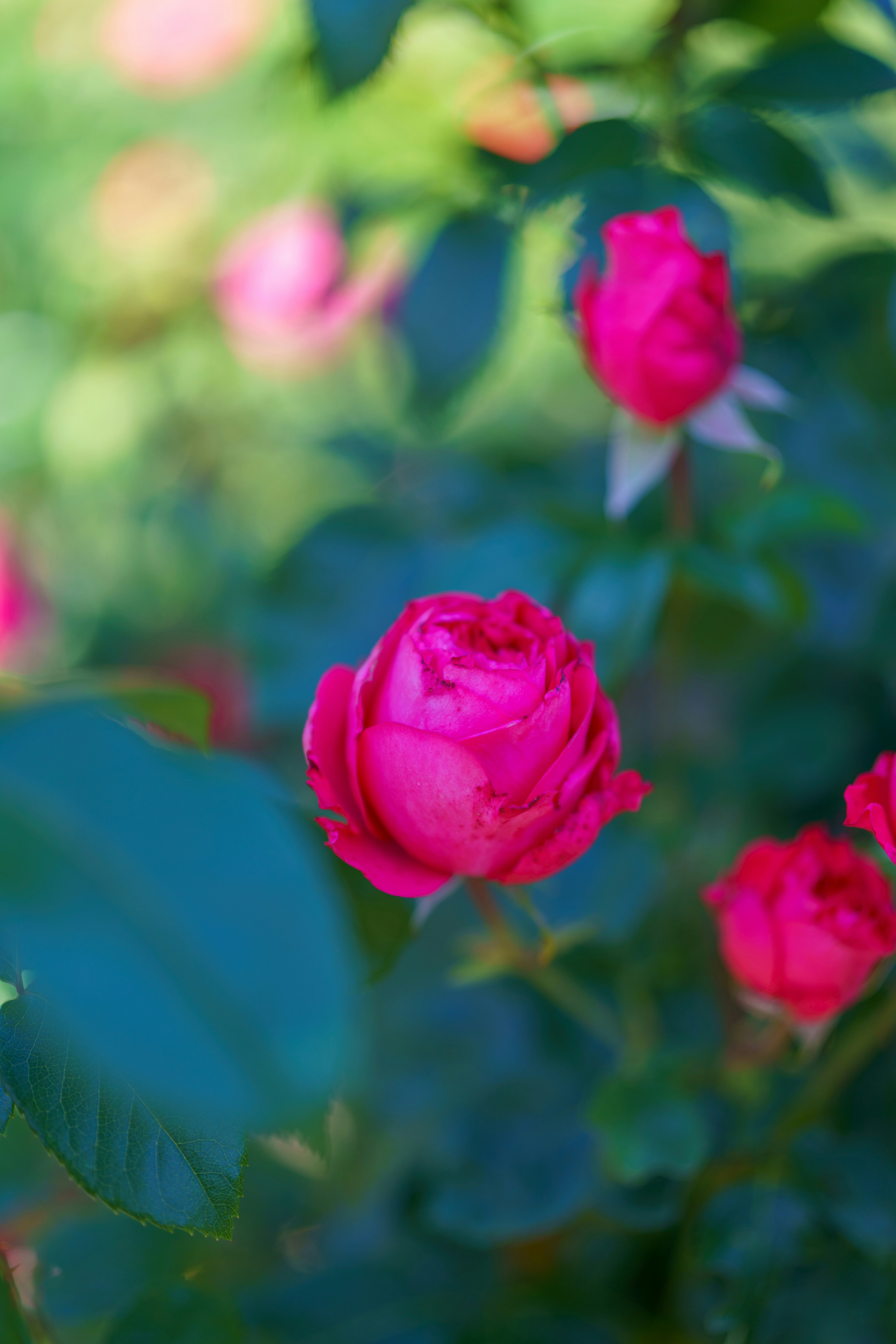 Photo by bangscreative