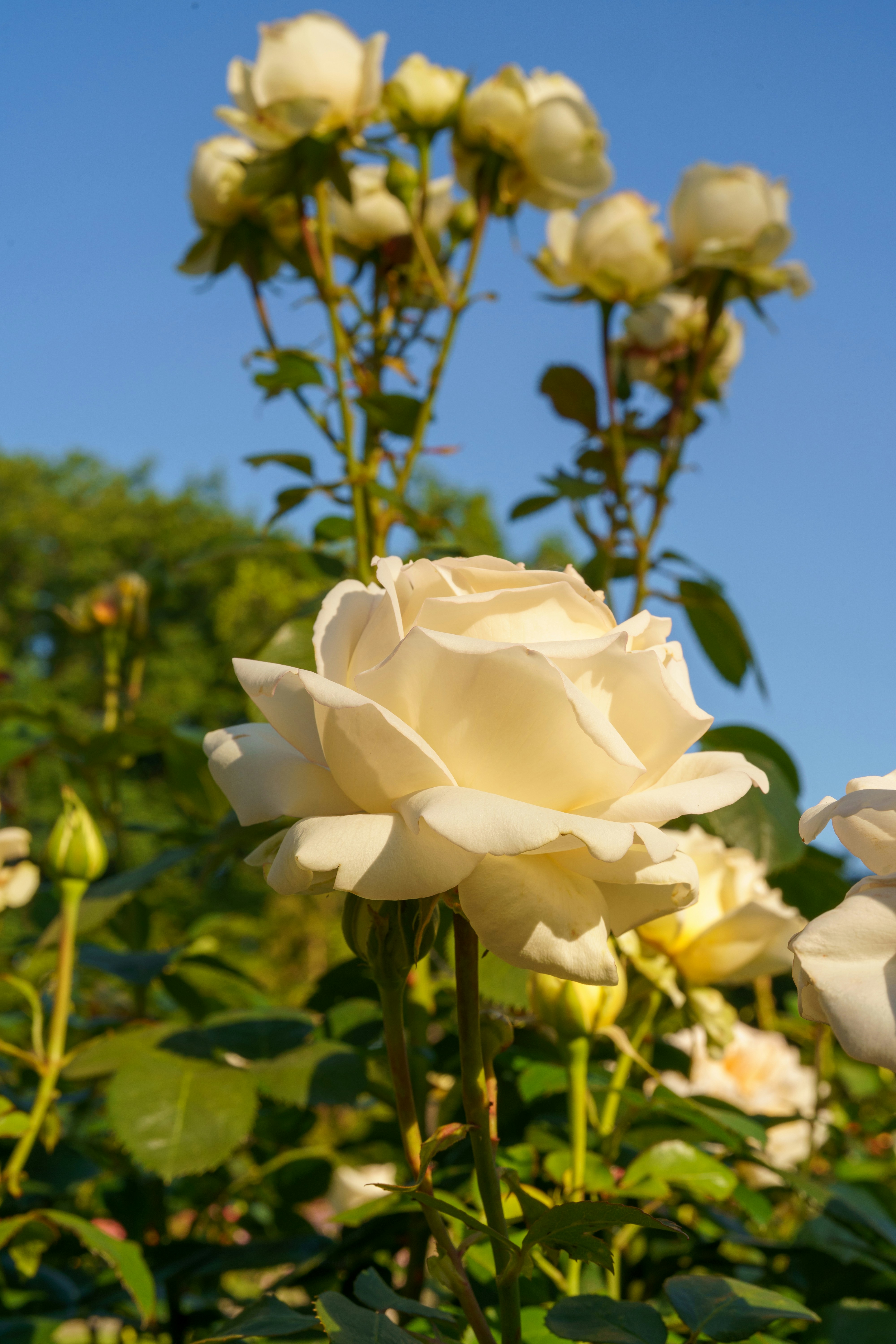 Photo by bangscreative