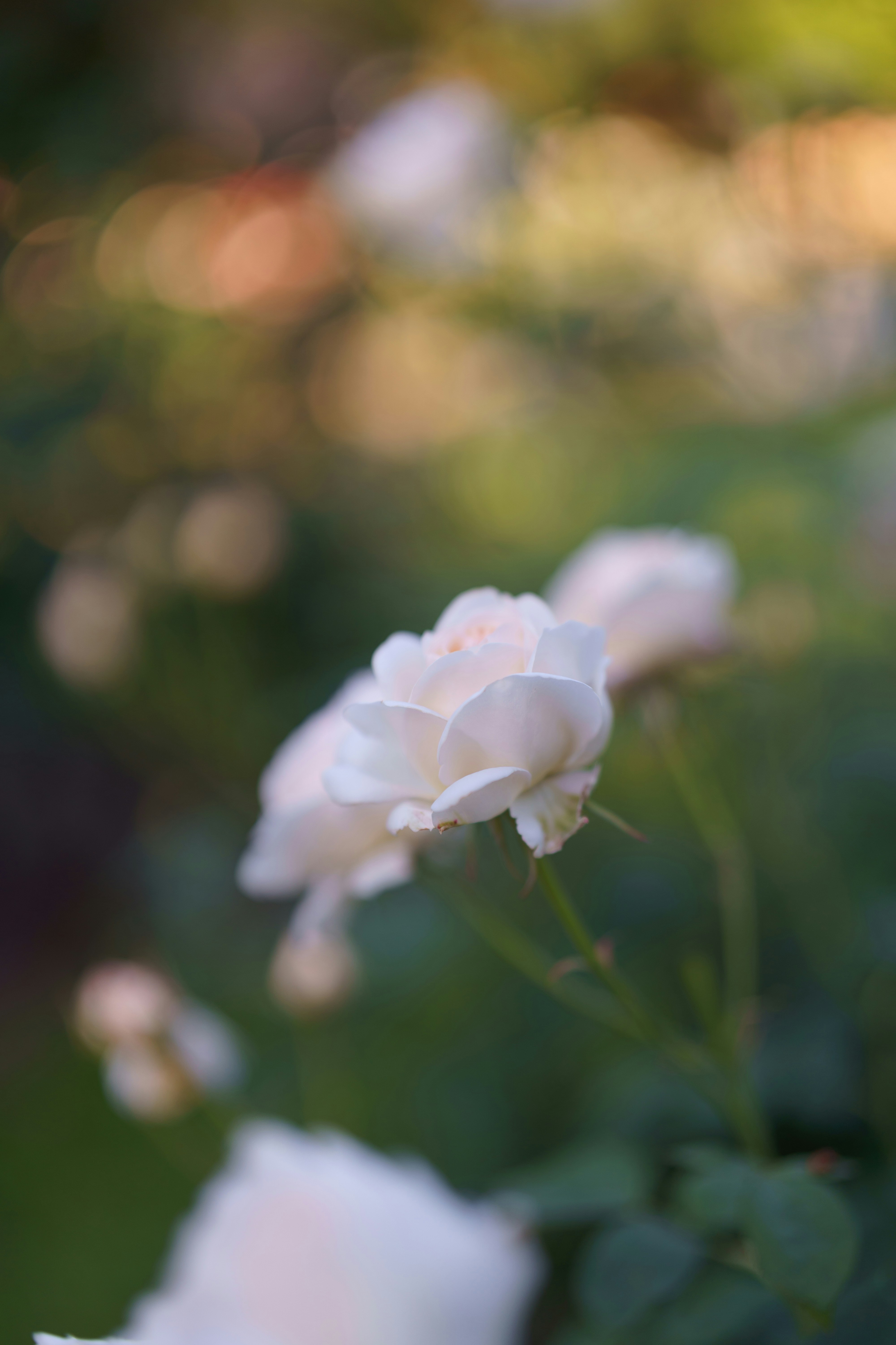 Photo by bangscreative