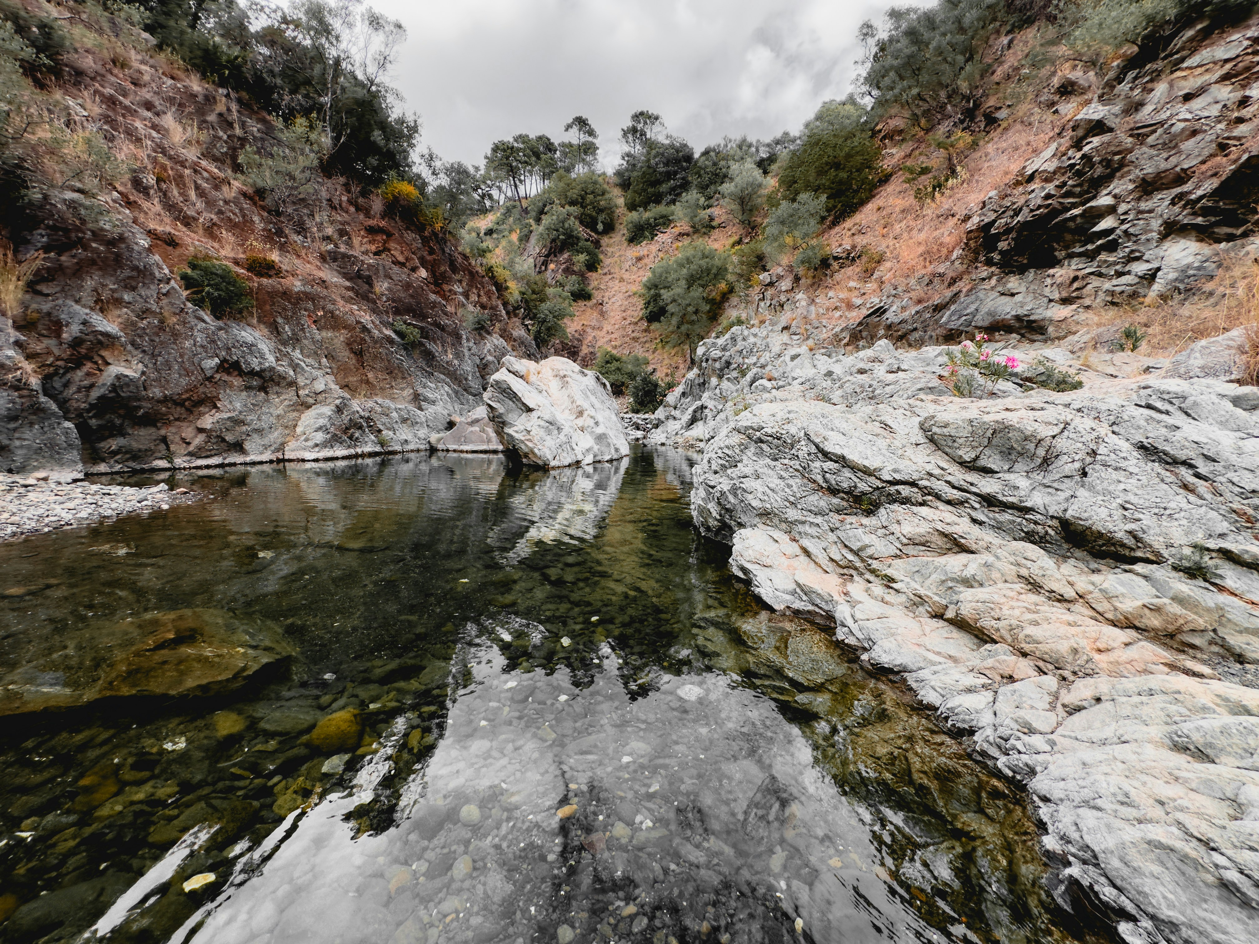 Photo by borjaverbena