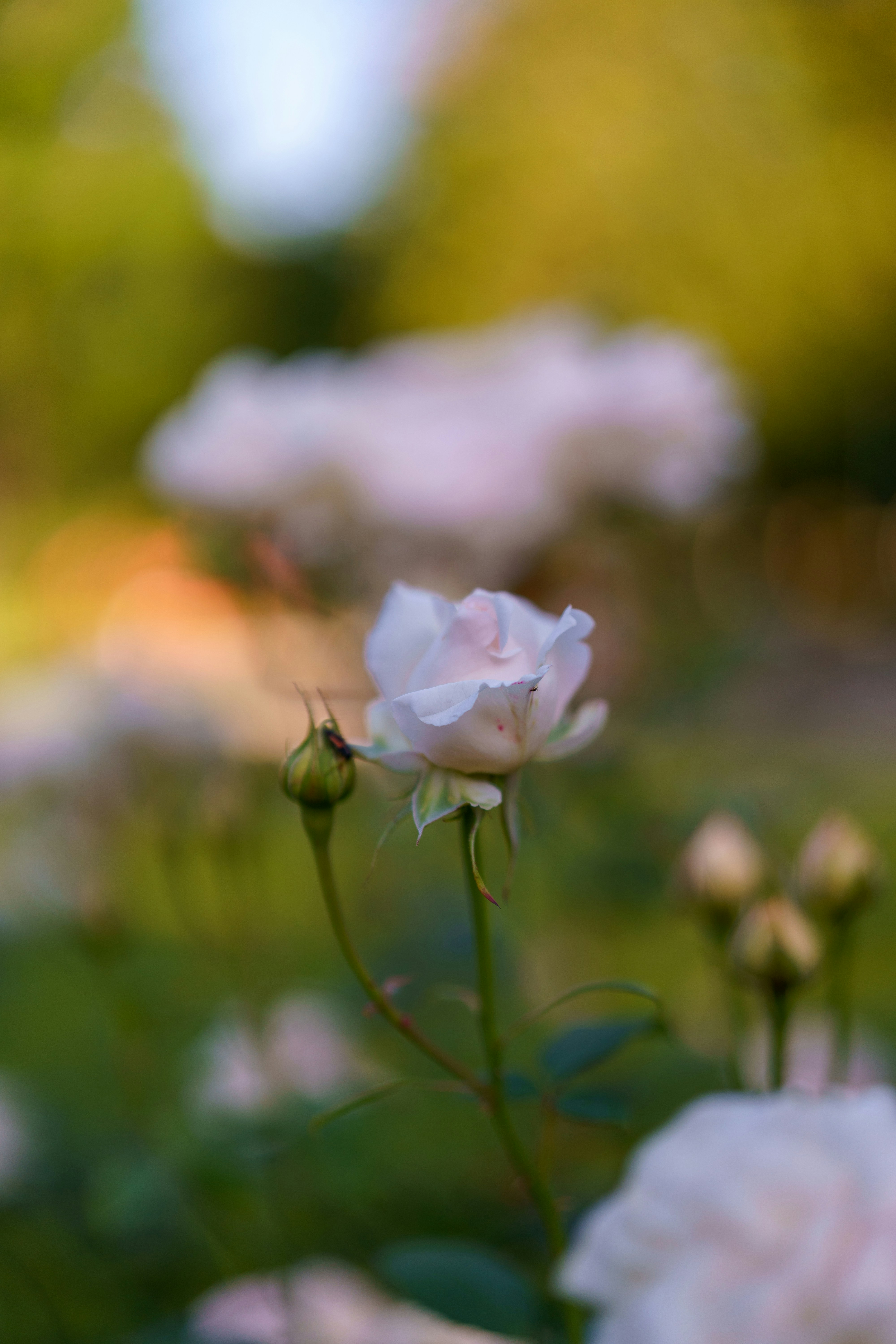 Photo by bangscreative