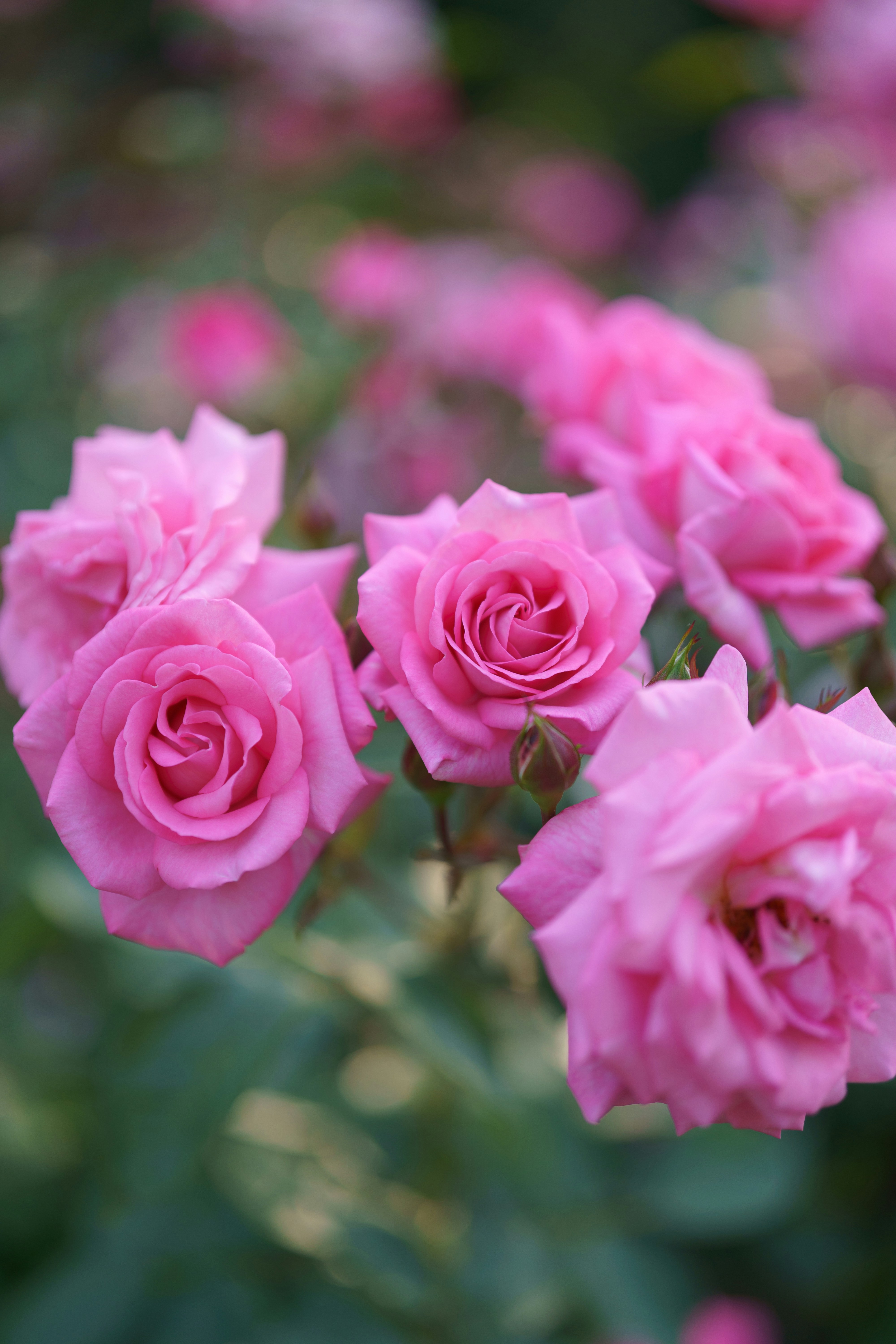 Photo by bangscreative