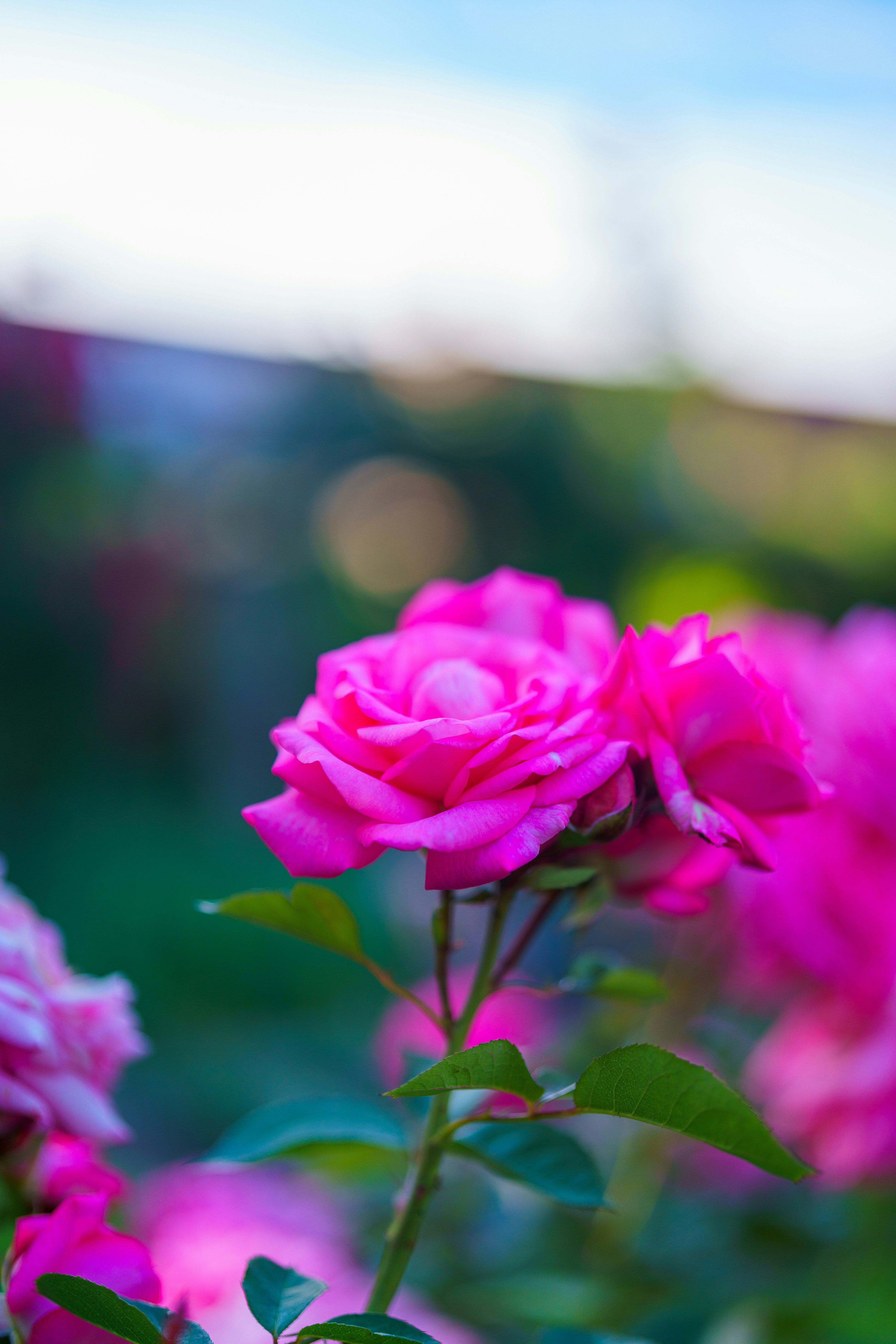 Photo by bangscreative