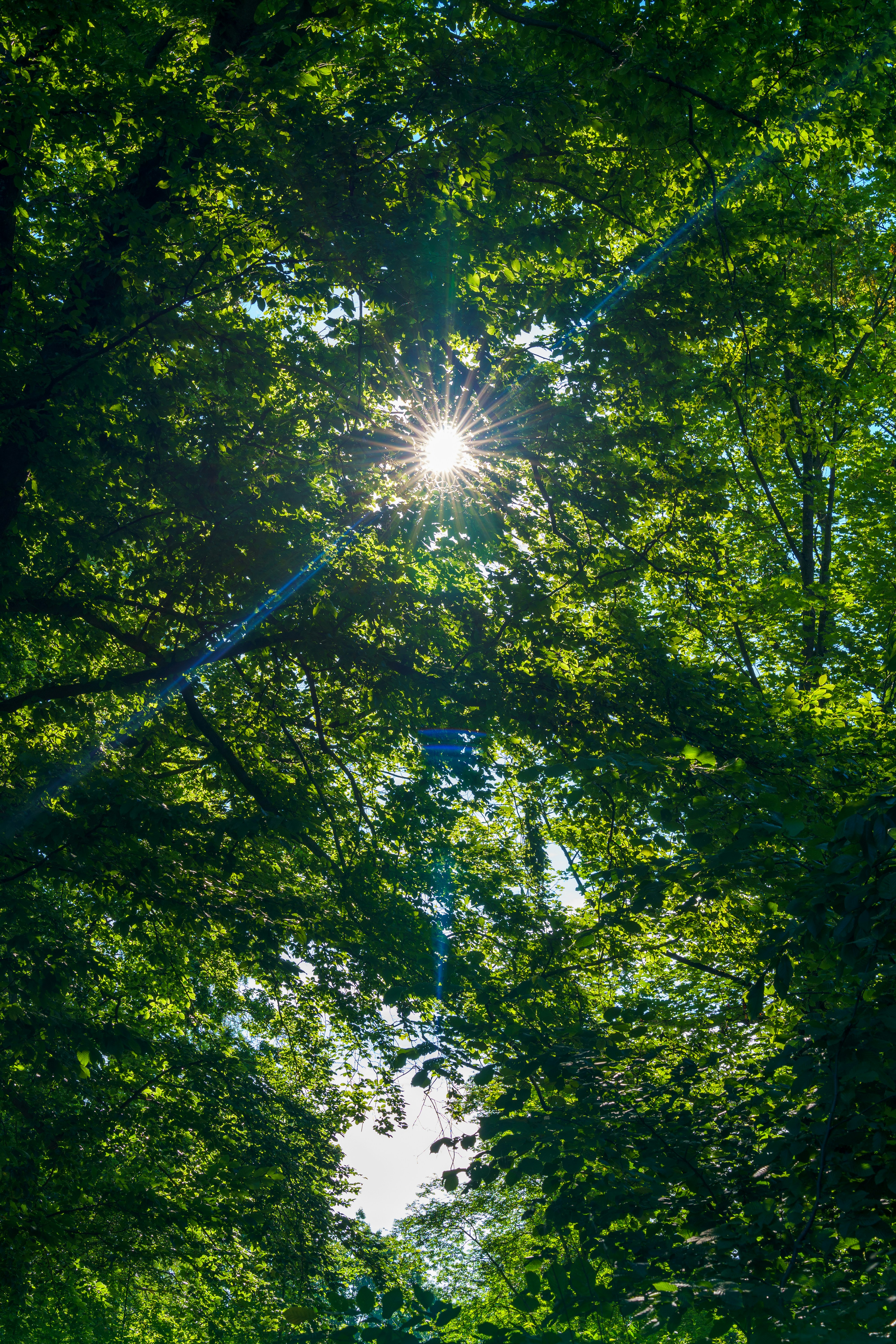 Photo by bangscreative