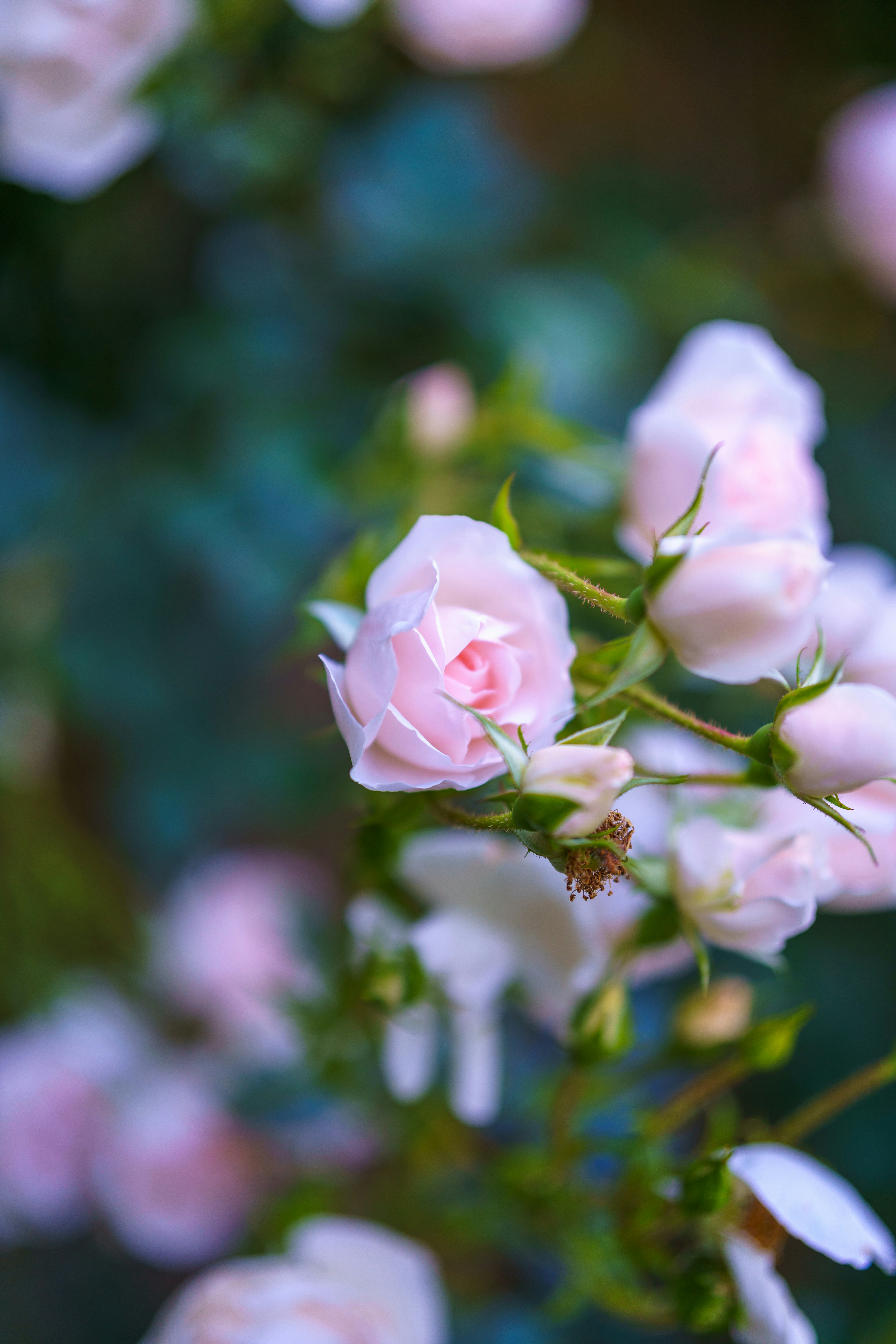 Photo by bangscreative