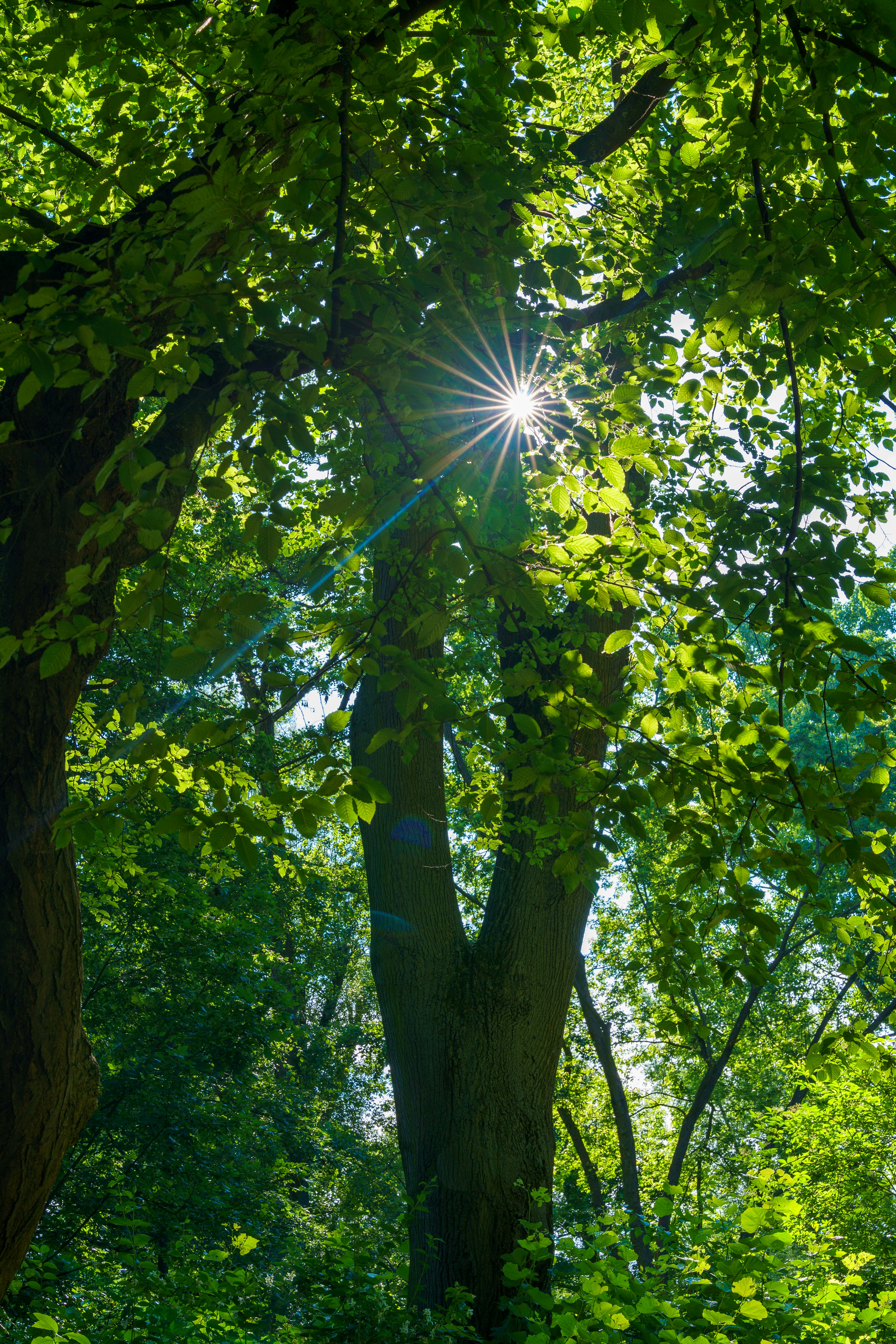 Photo by bangscreative