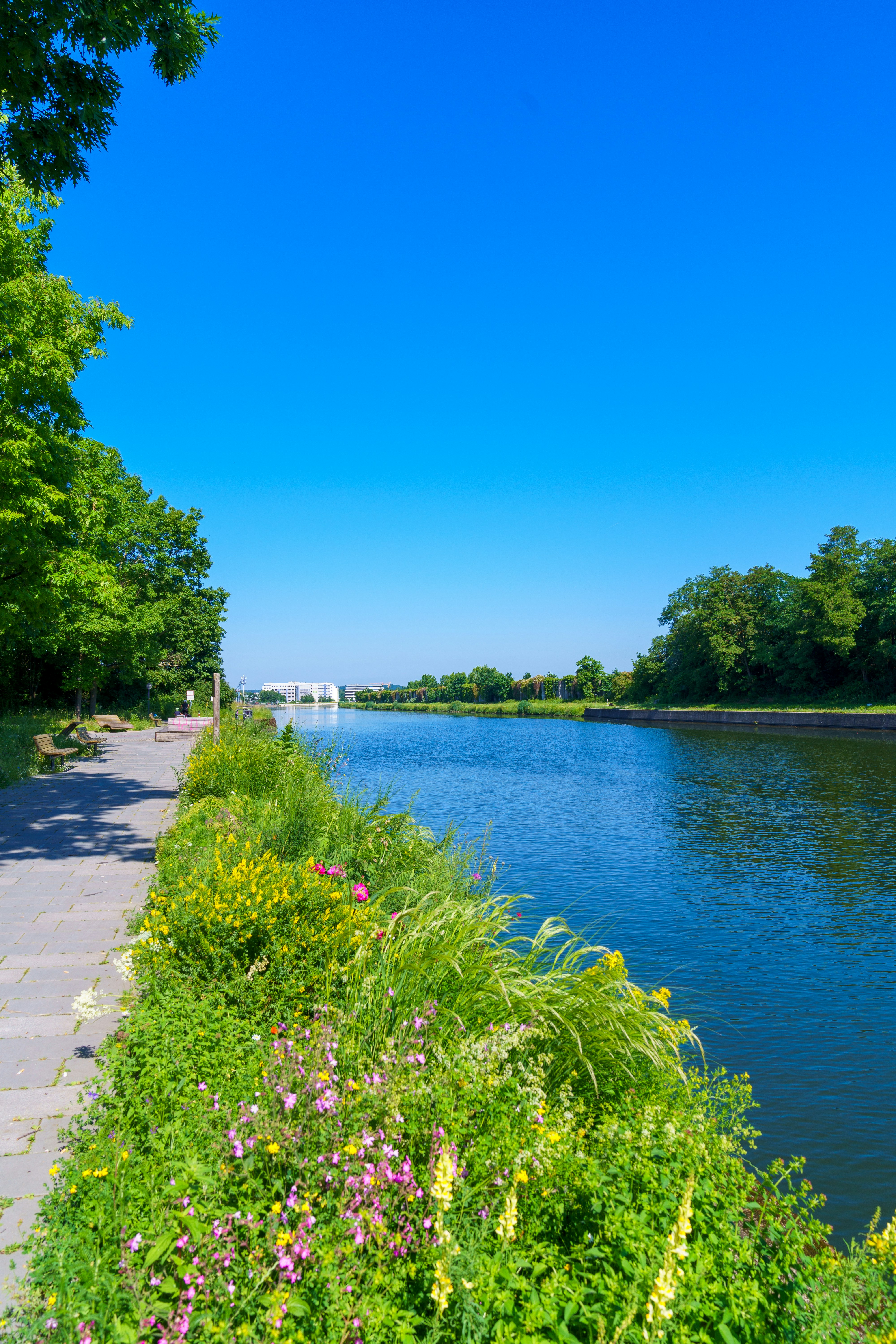 Photo by bangscreative