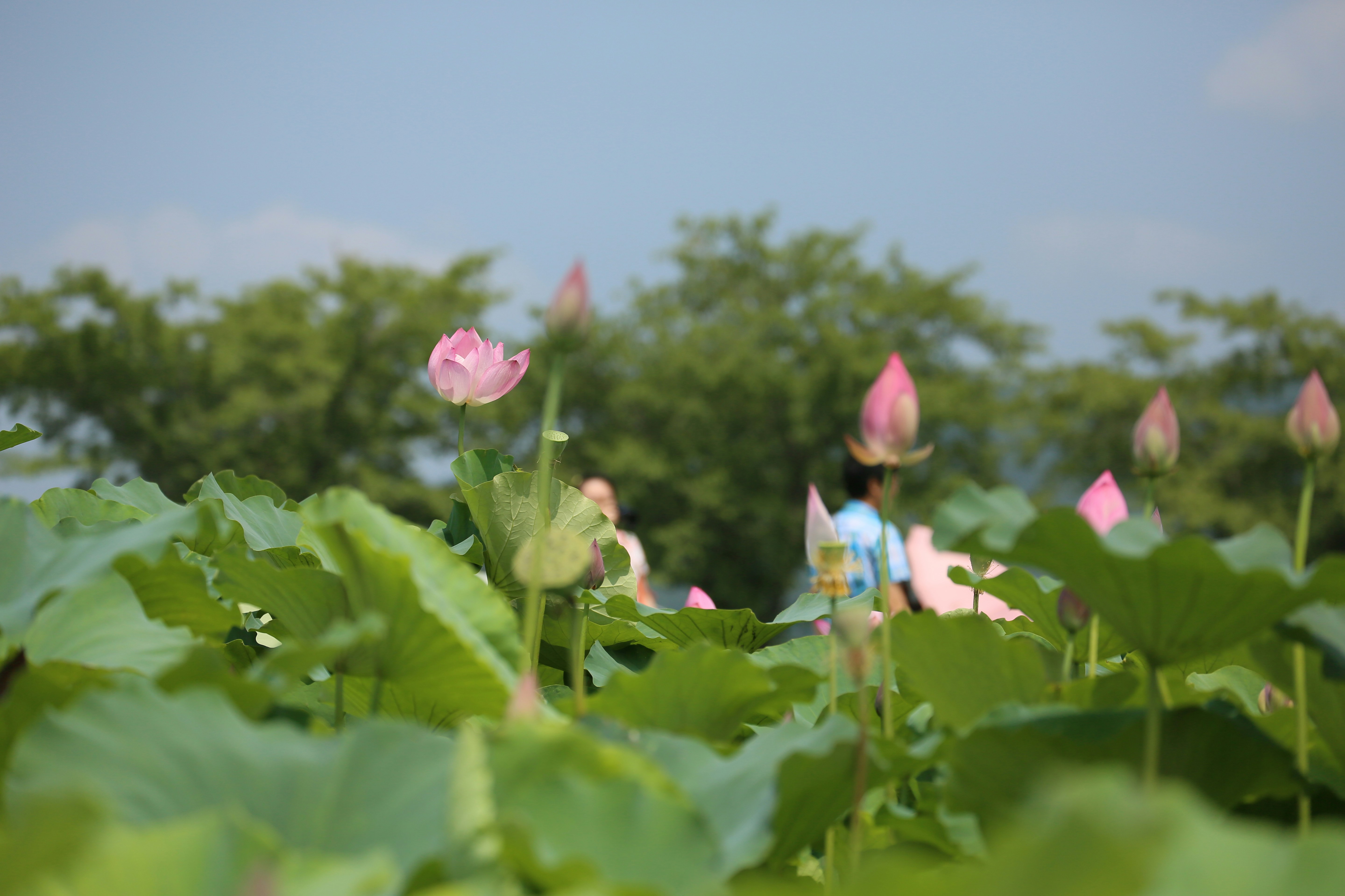 Photo by okboks