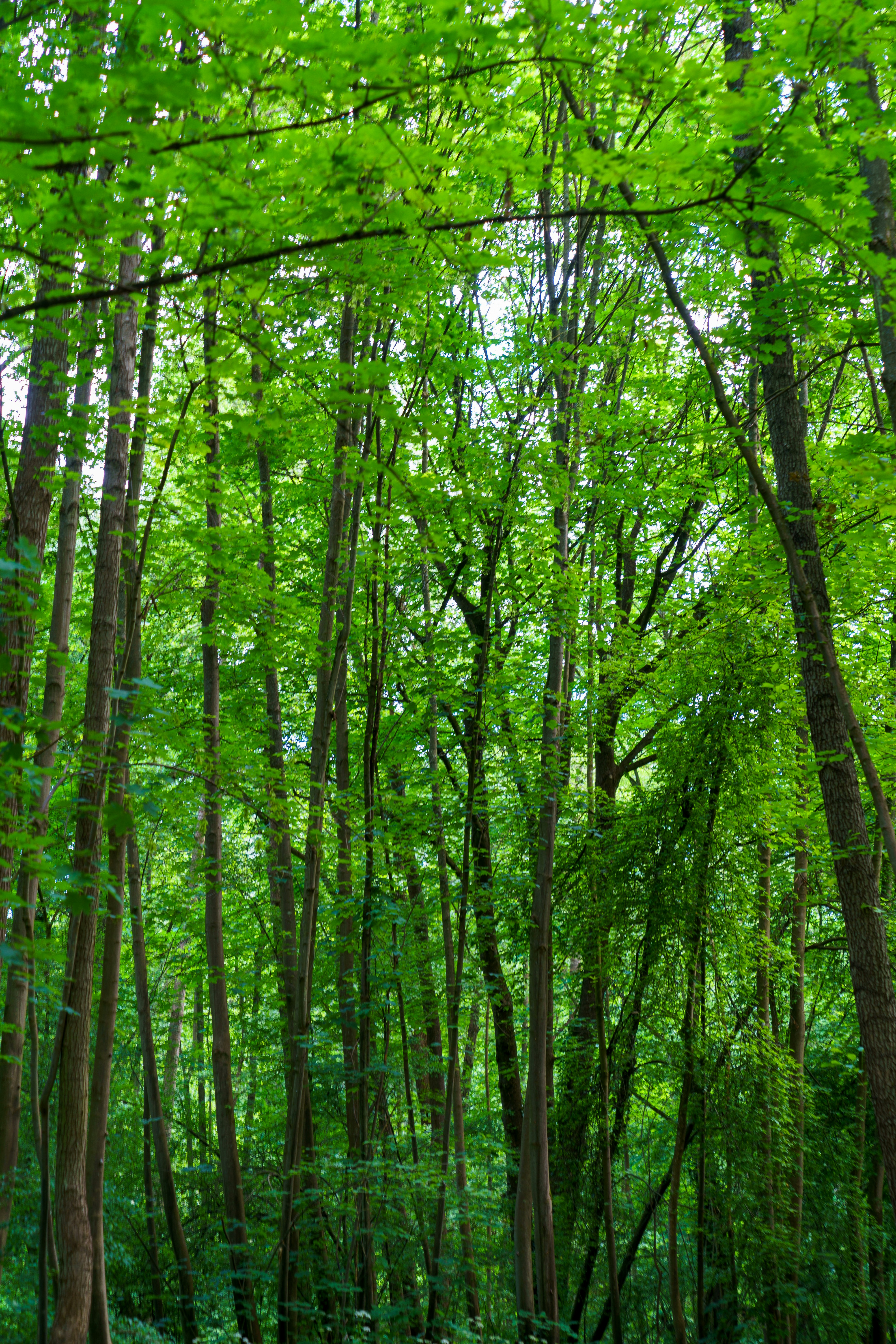 Photo by bangscreative