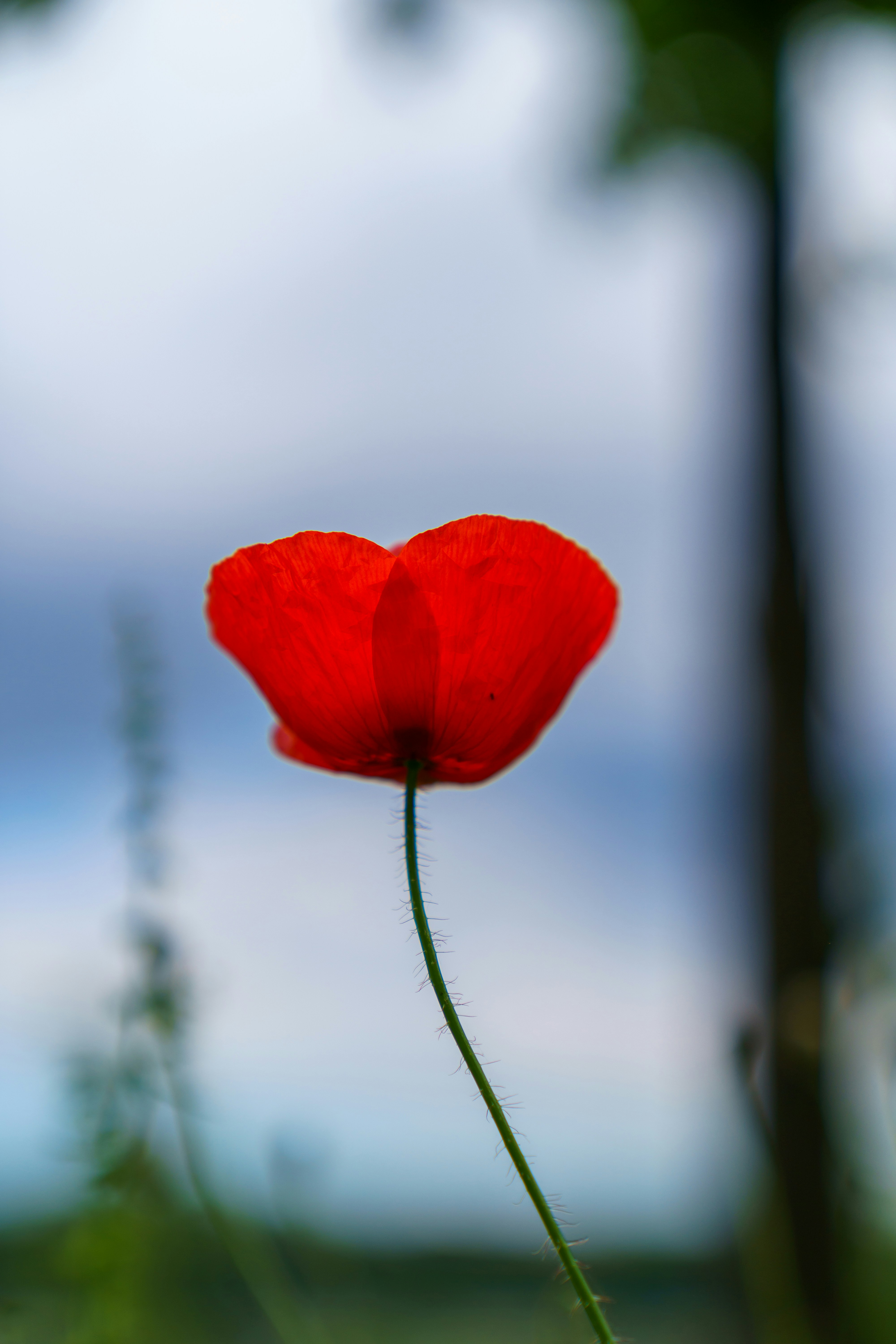 Photo by bangscreative