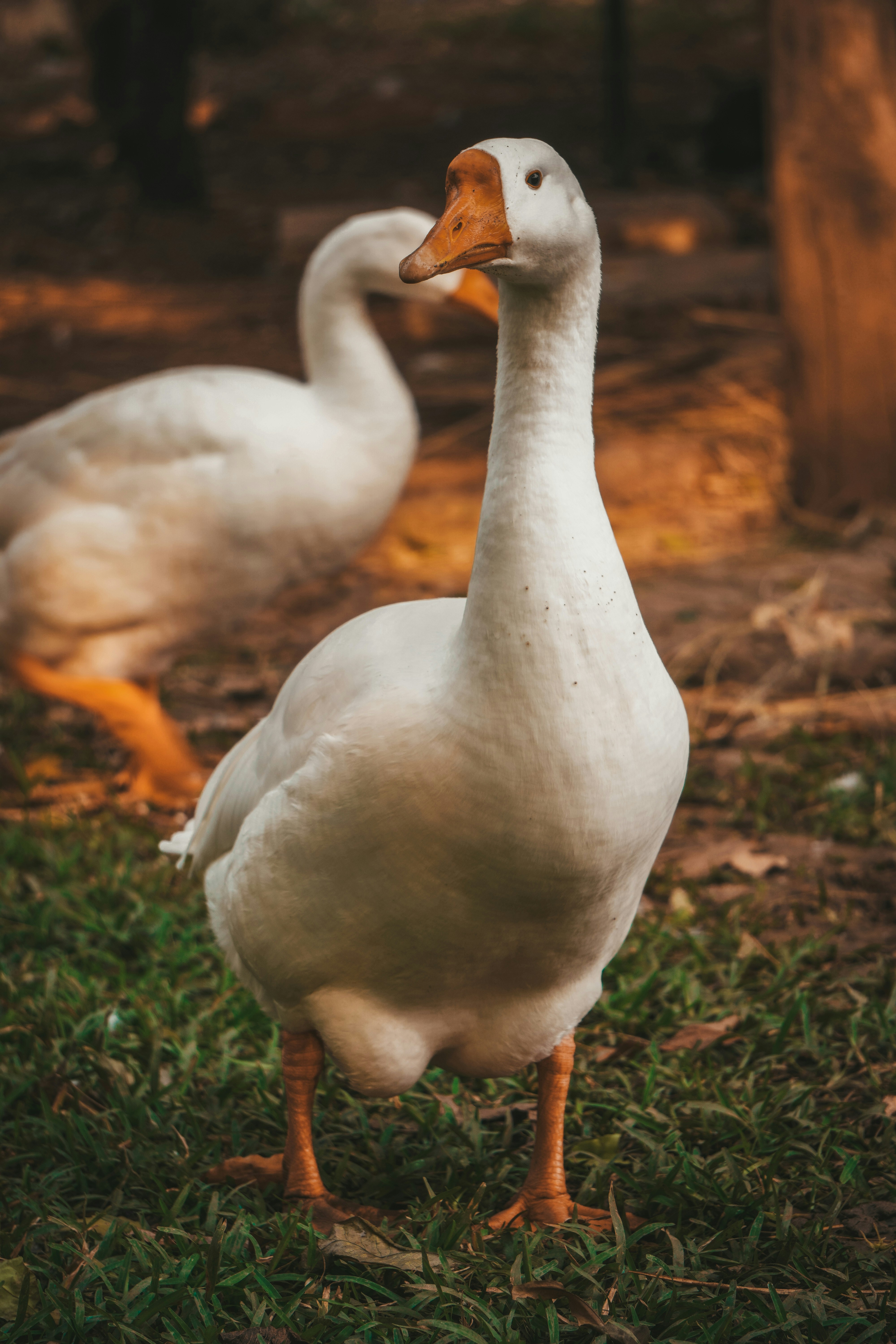 Photo by naam_ka_photographer