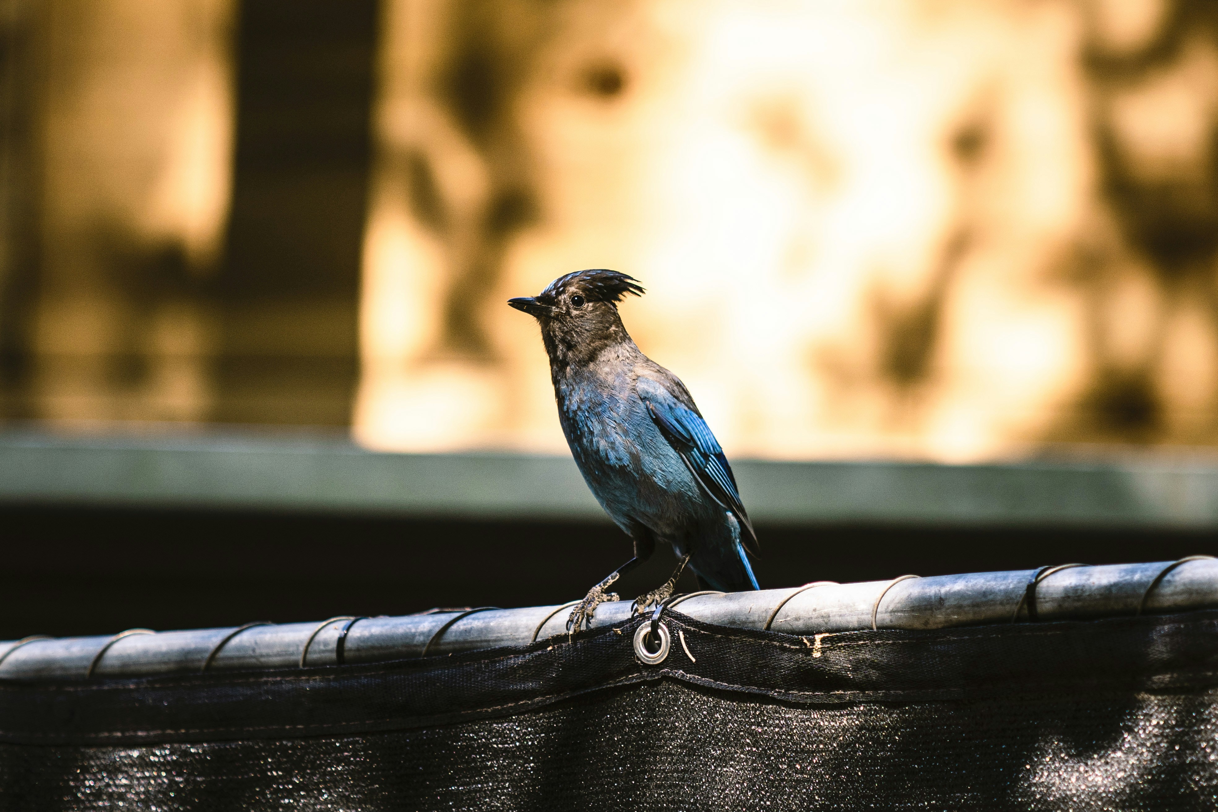 Photo by leob_photography