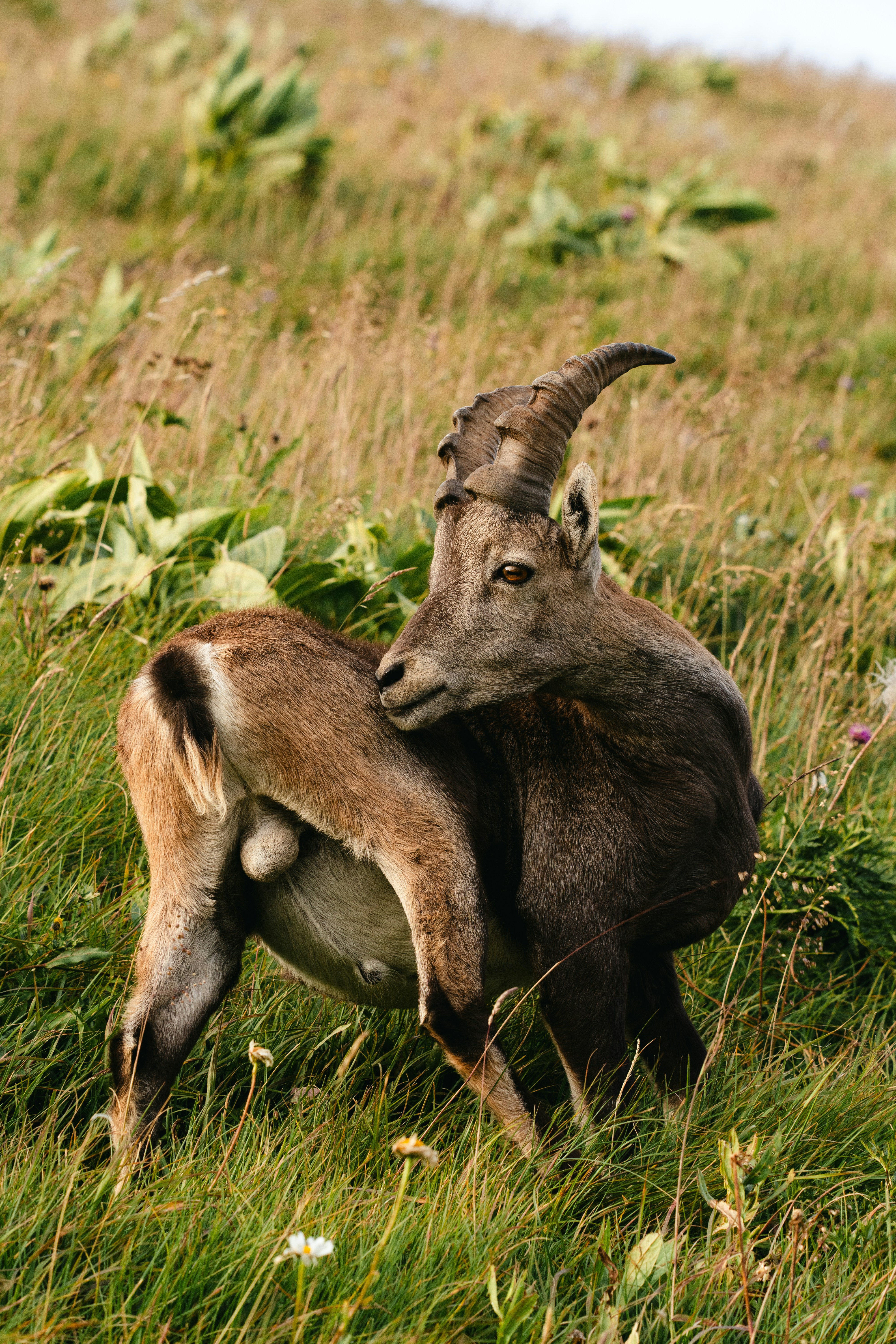 Photo by leob_photography