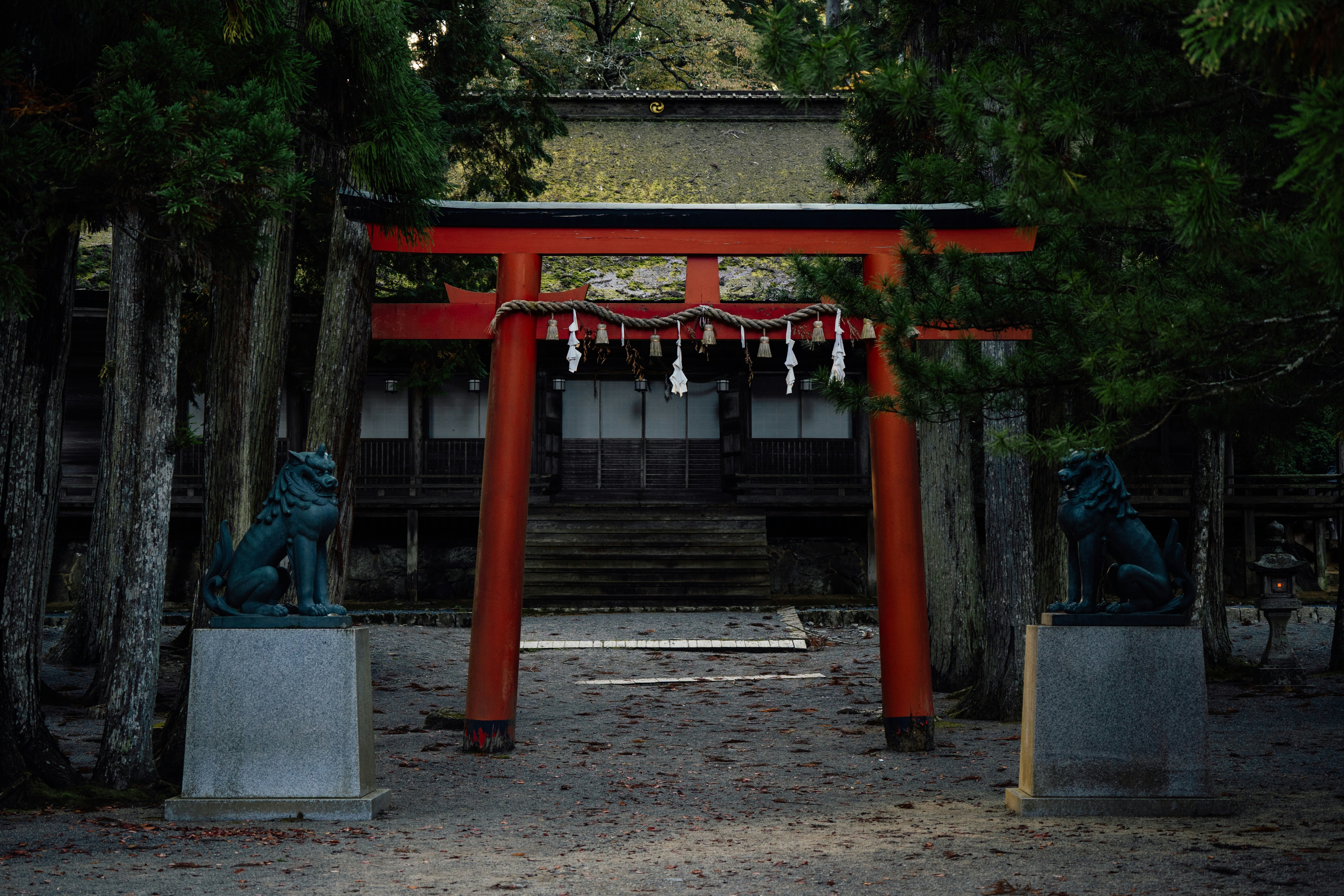 Photo by leob_photography