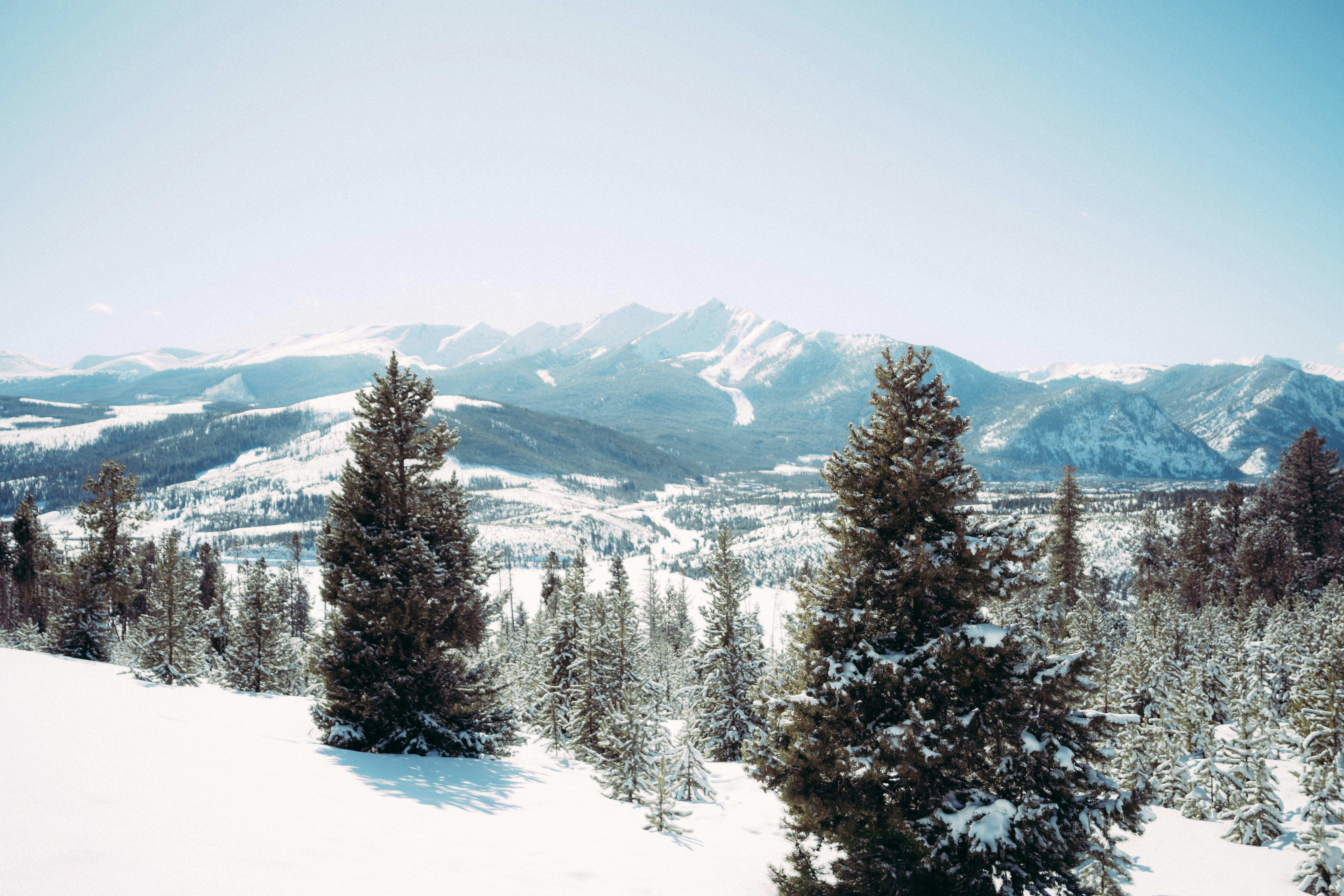 a view of a snowy mountain with trees in the foreground, snowy forest in Colorado