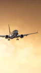a large jetliner flying through a cloudy sky