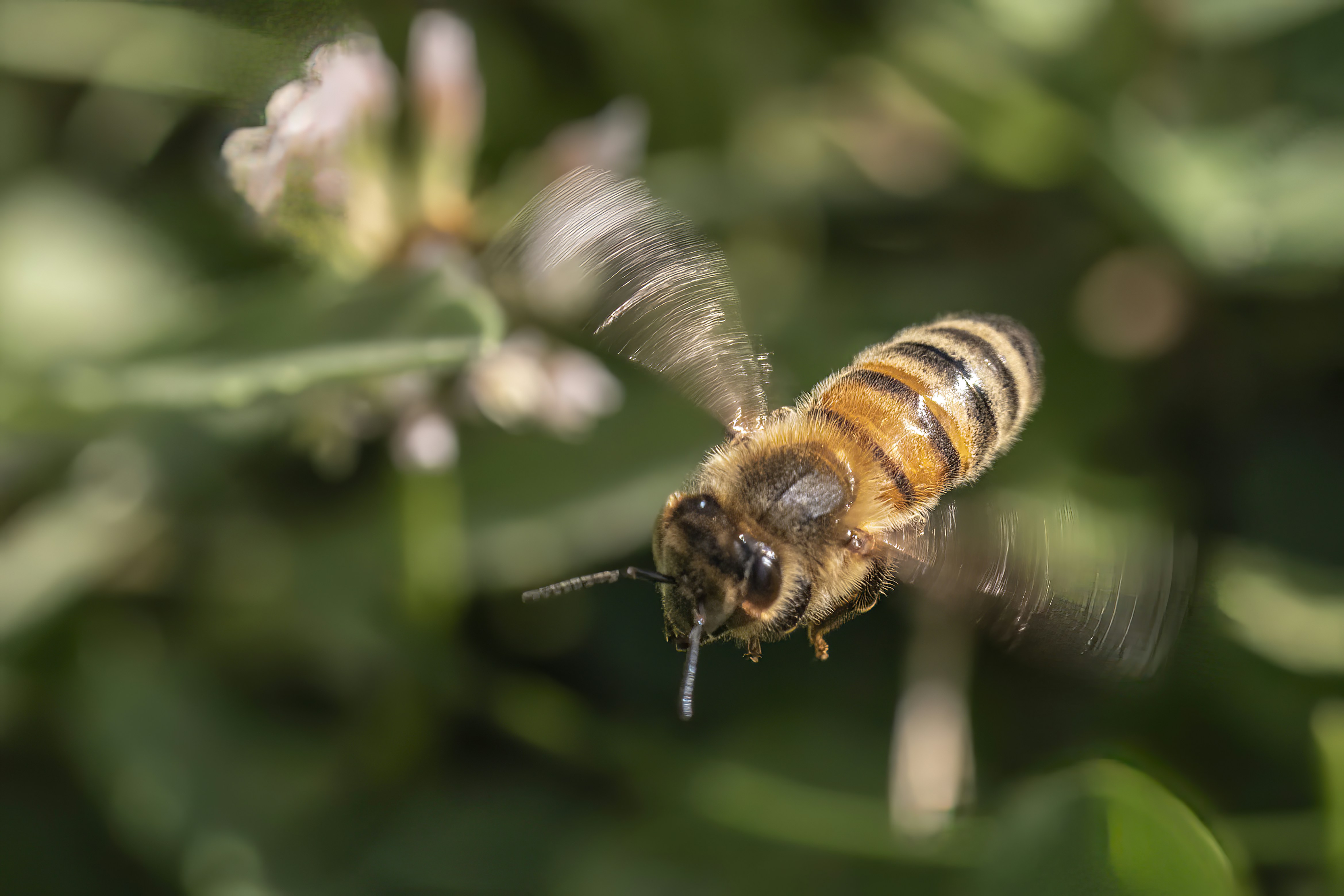 Photo by jddartphotographer