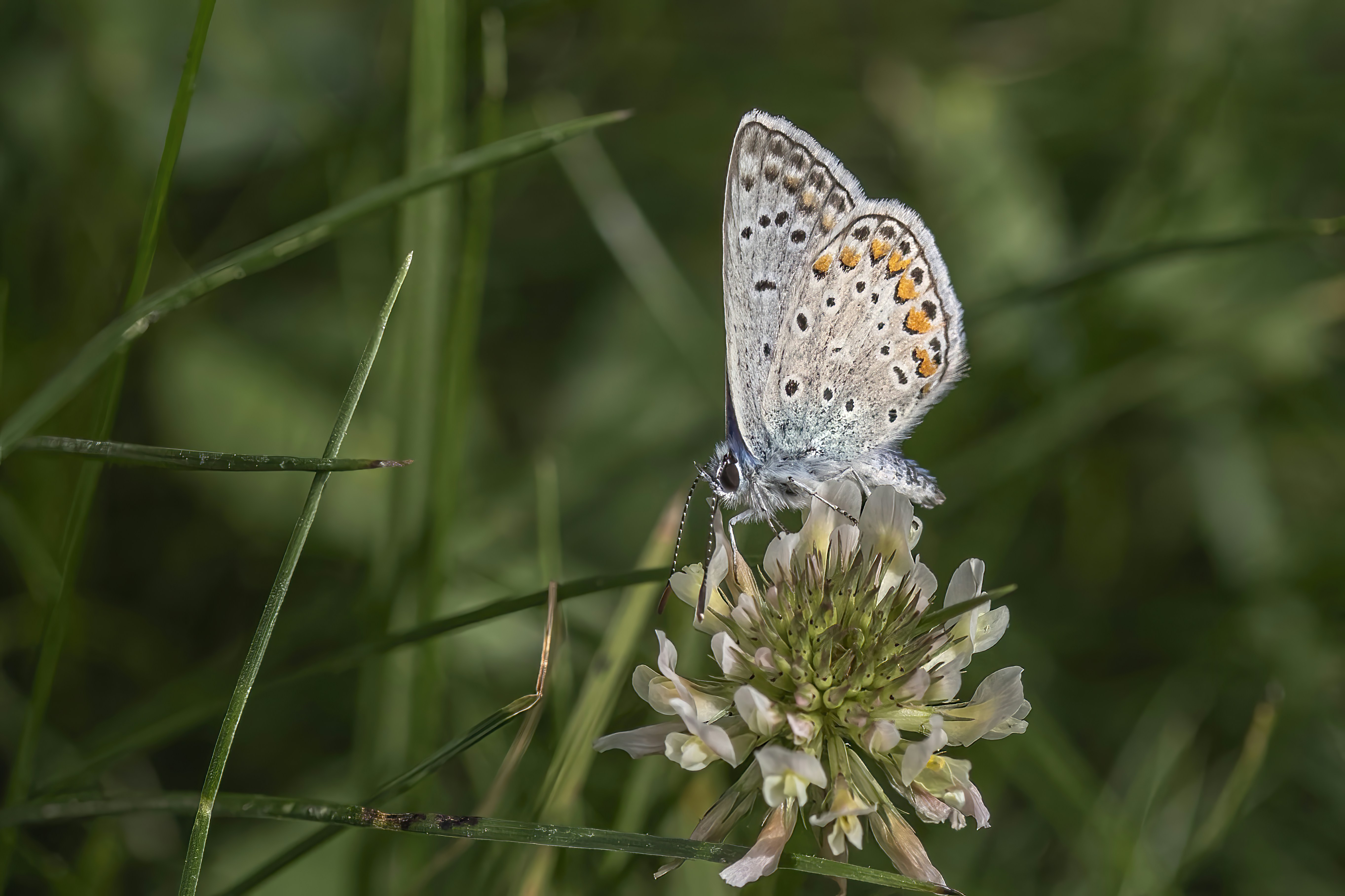 Photo by jddartphotographer