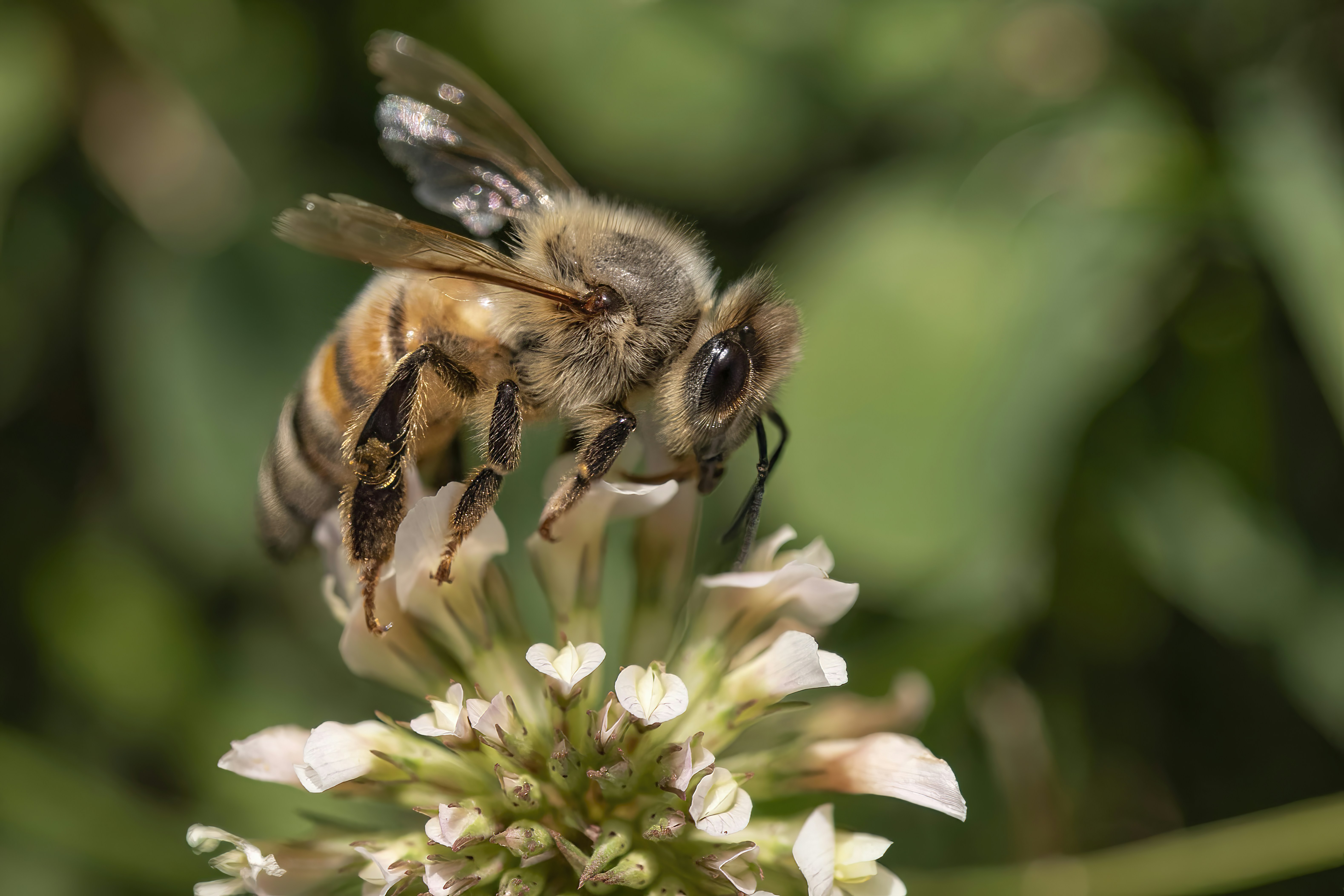 Photo by jddartphotographer