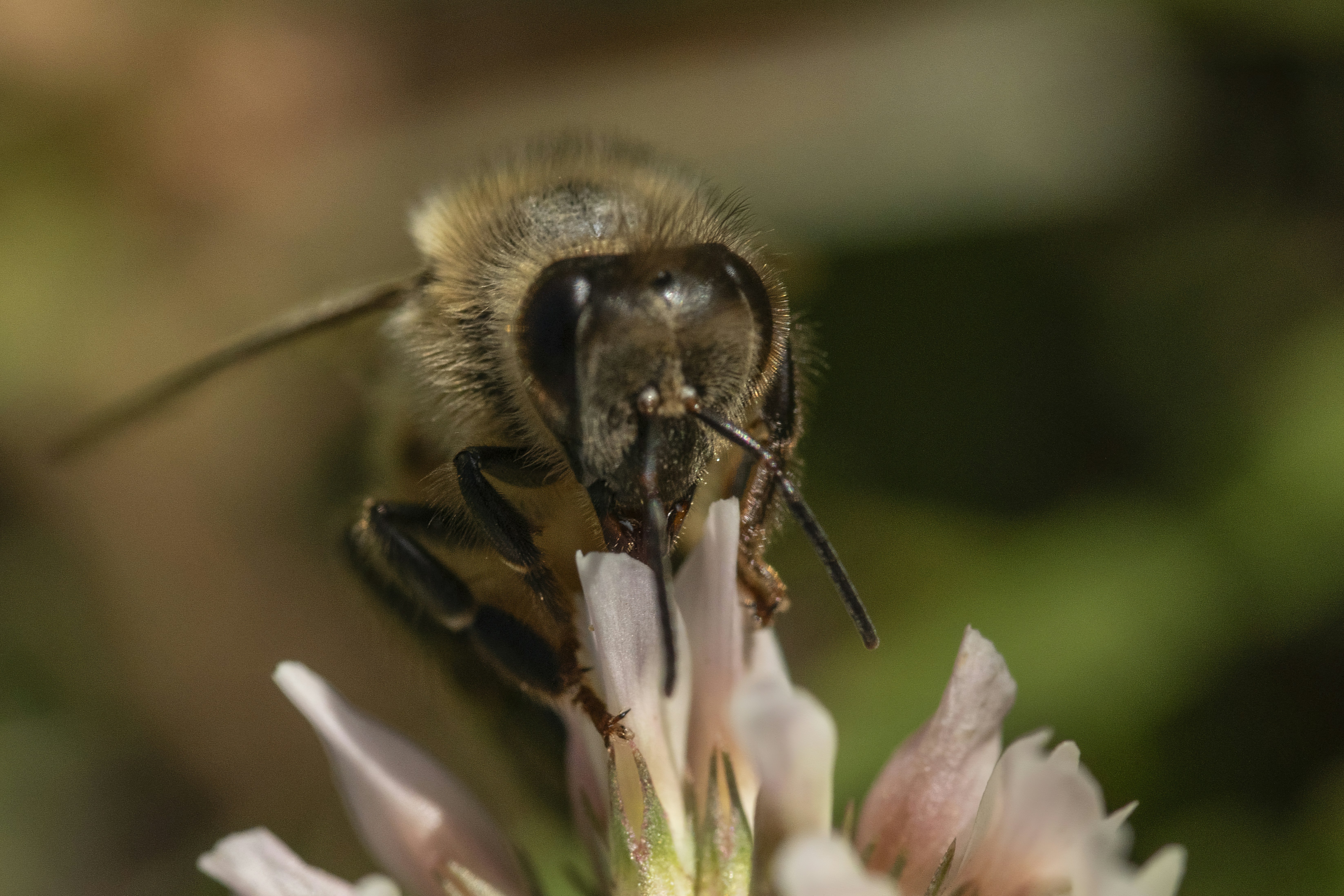 Photo by jddartphotographer