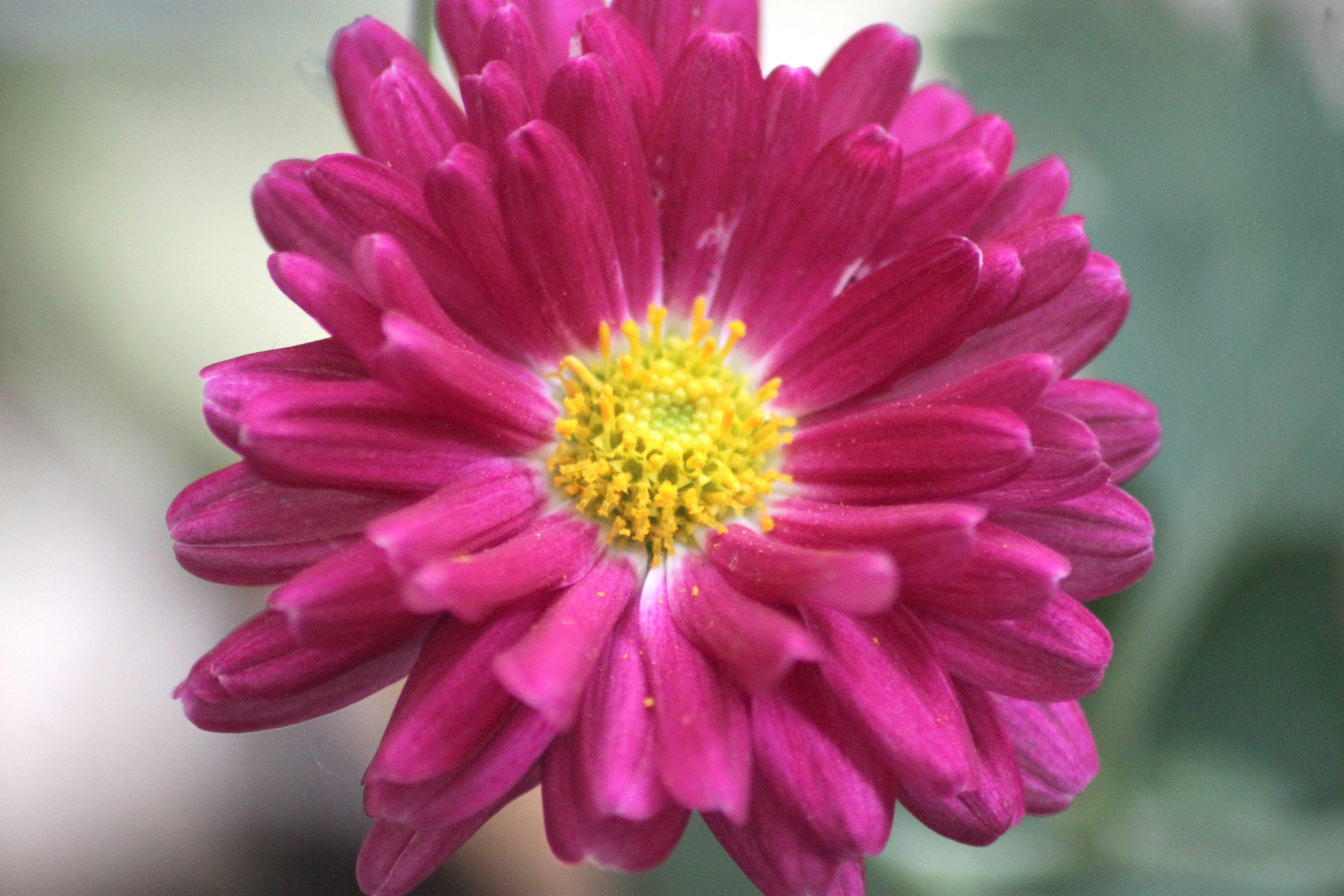 Photo by rahul_saraf