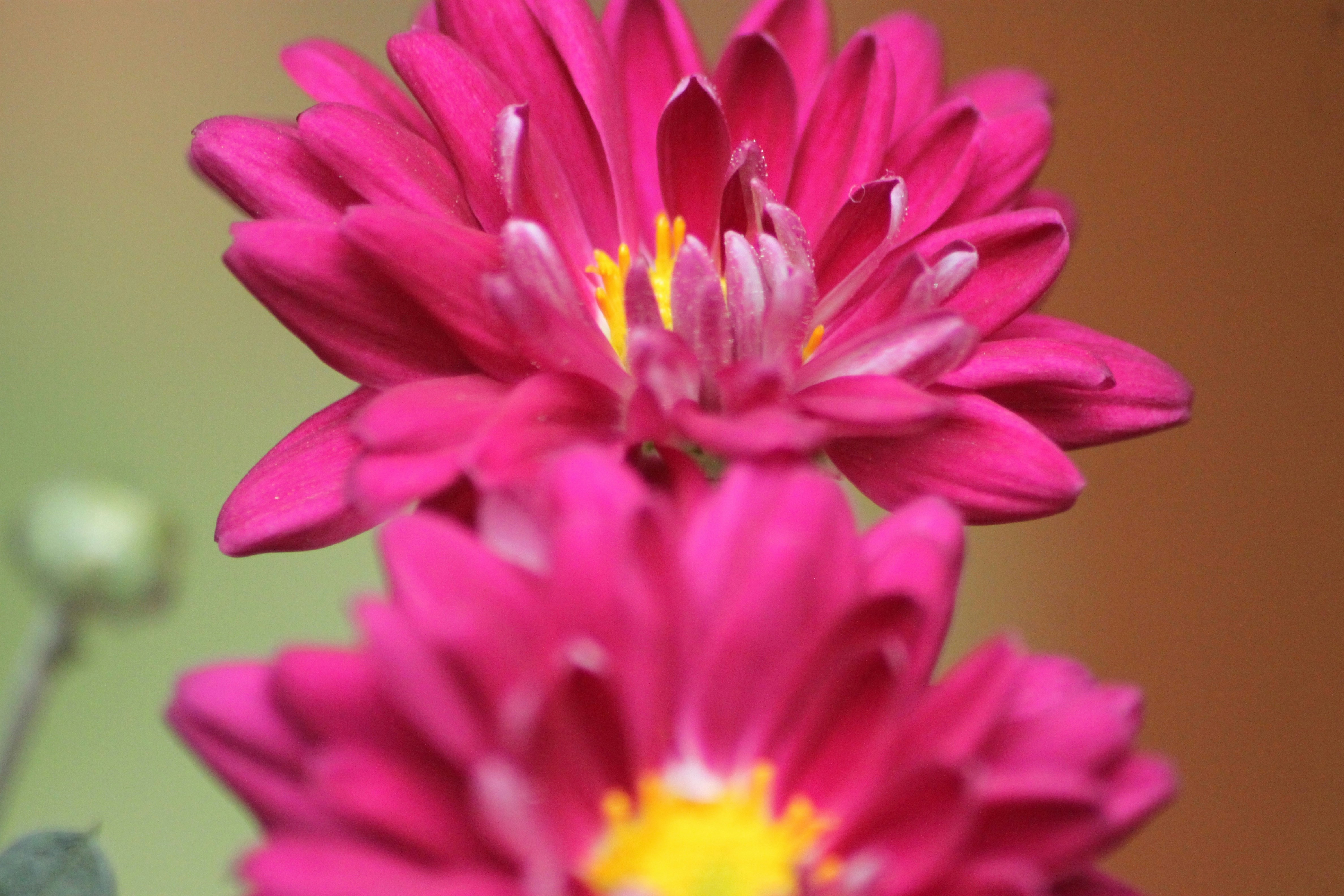 Photo by rahul_saraf