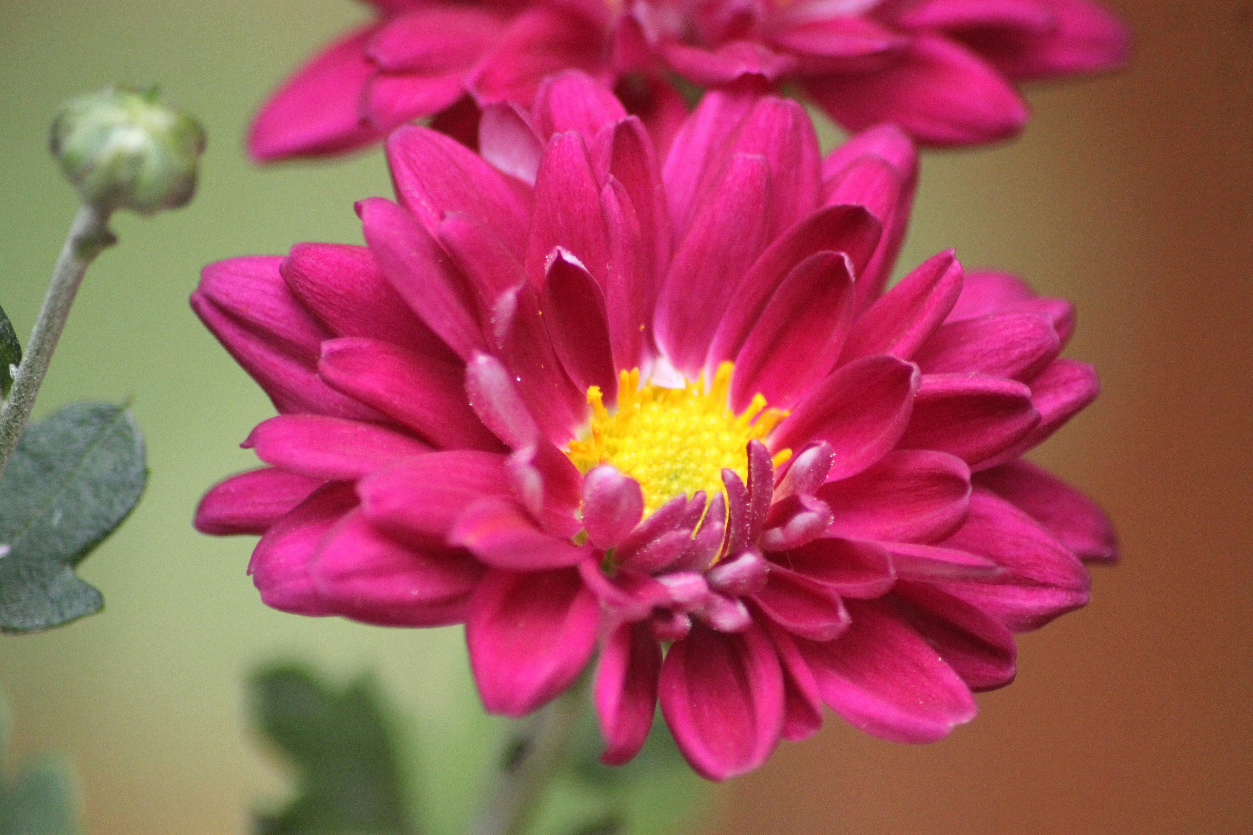 Photo by rahul_saraf