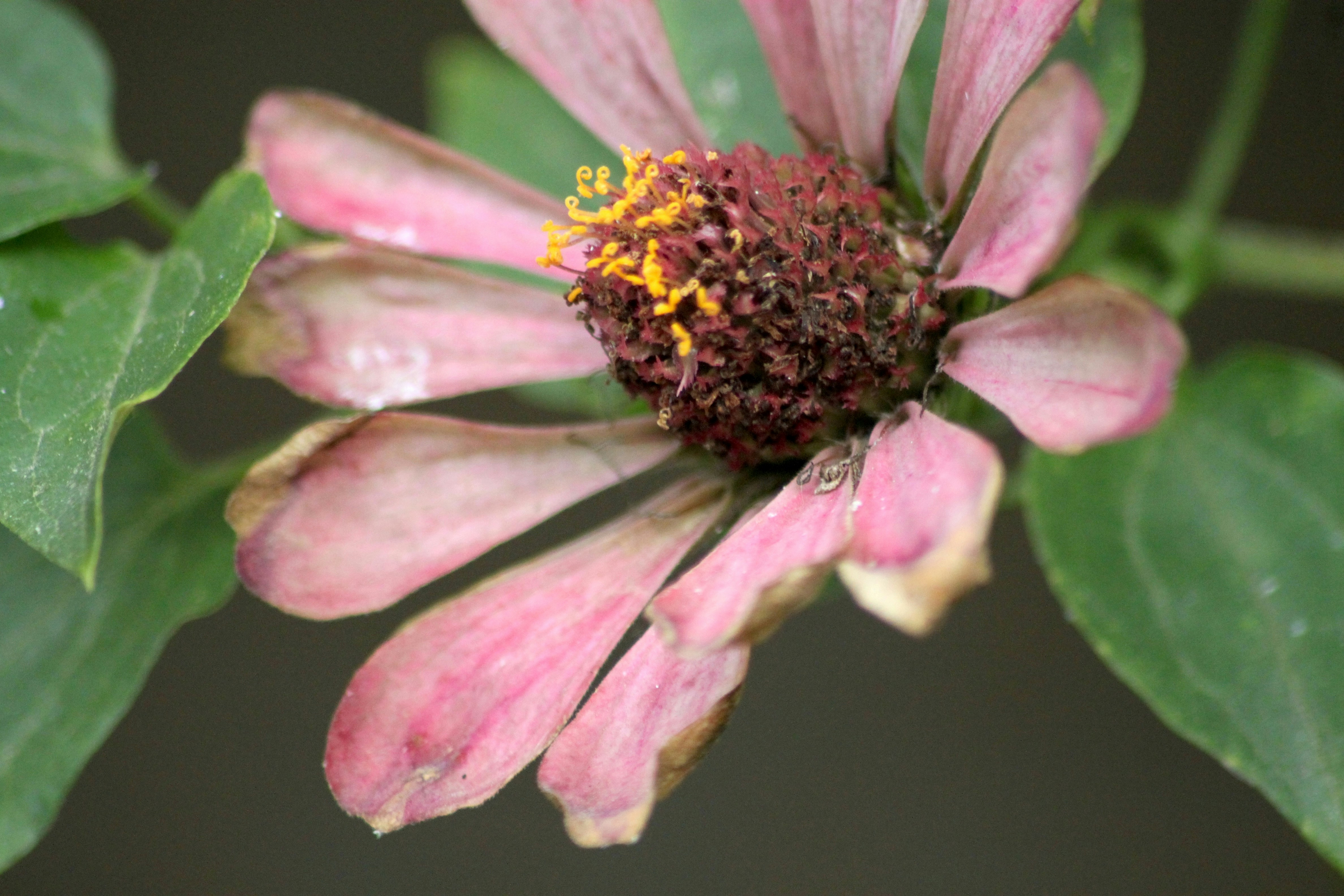 Photo by rahul_saraf