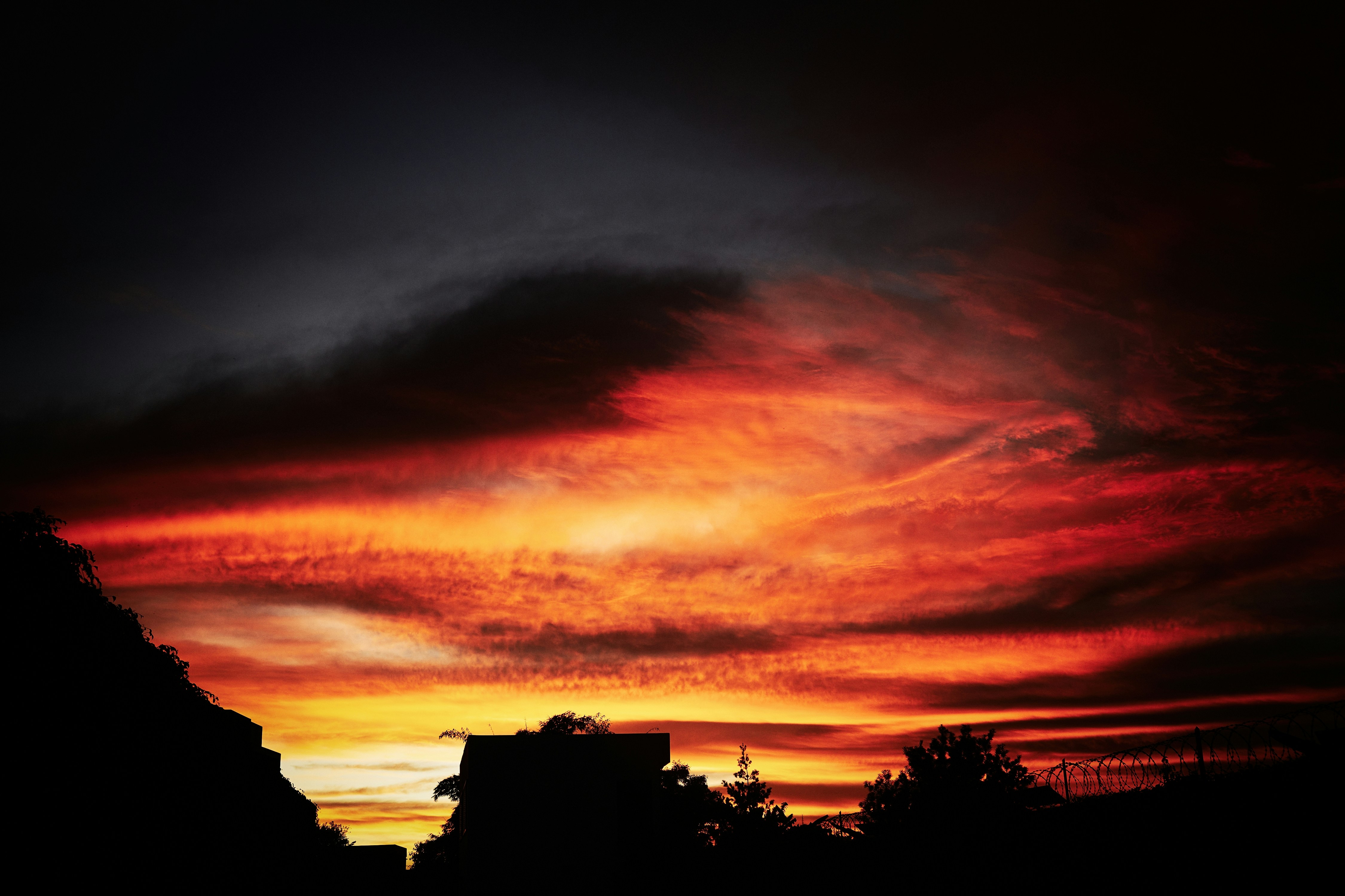 Photo by anthony_ran_