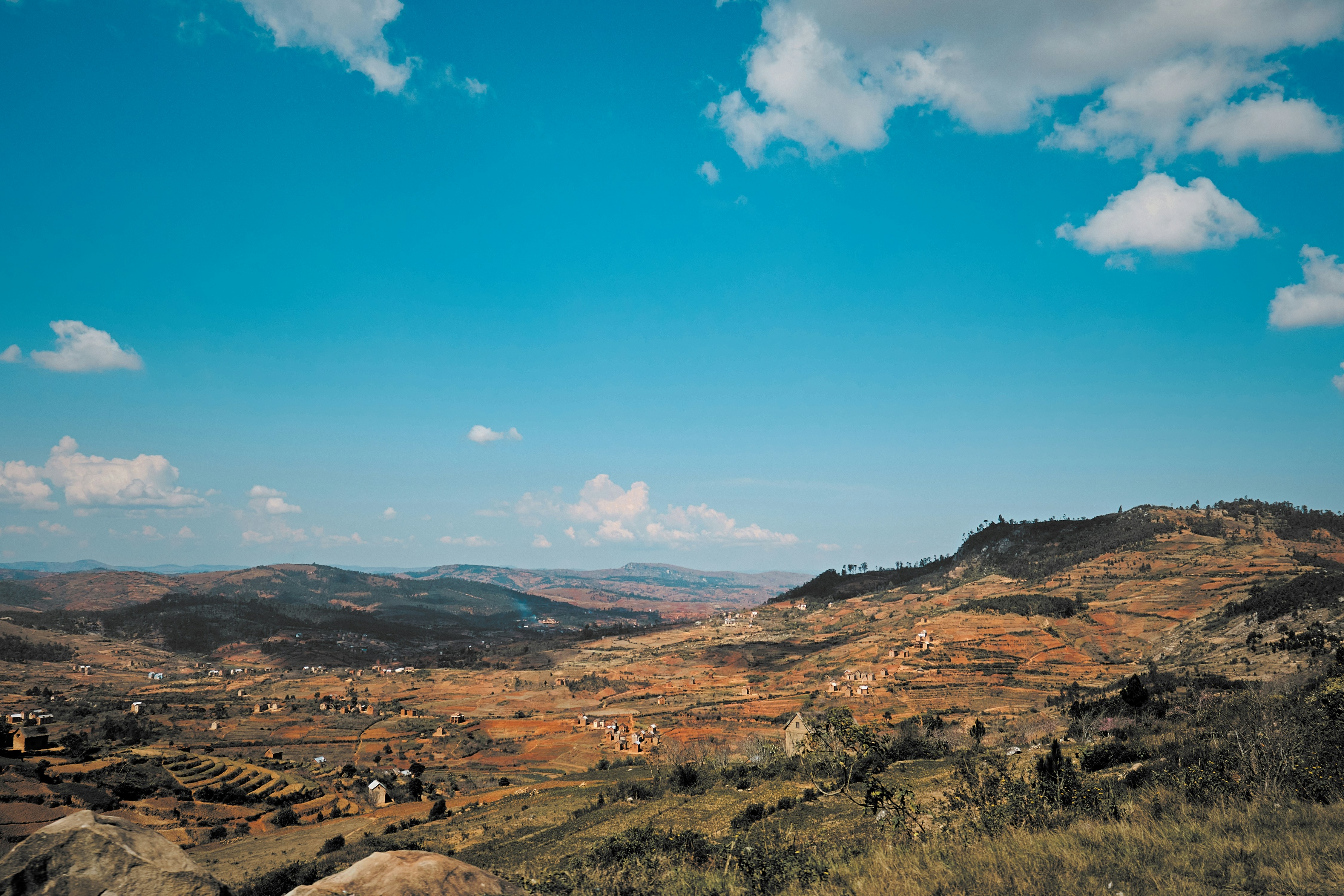 Photo by anthony_ran_