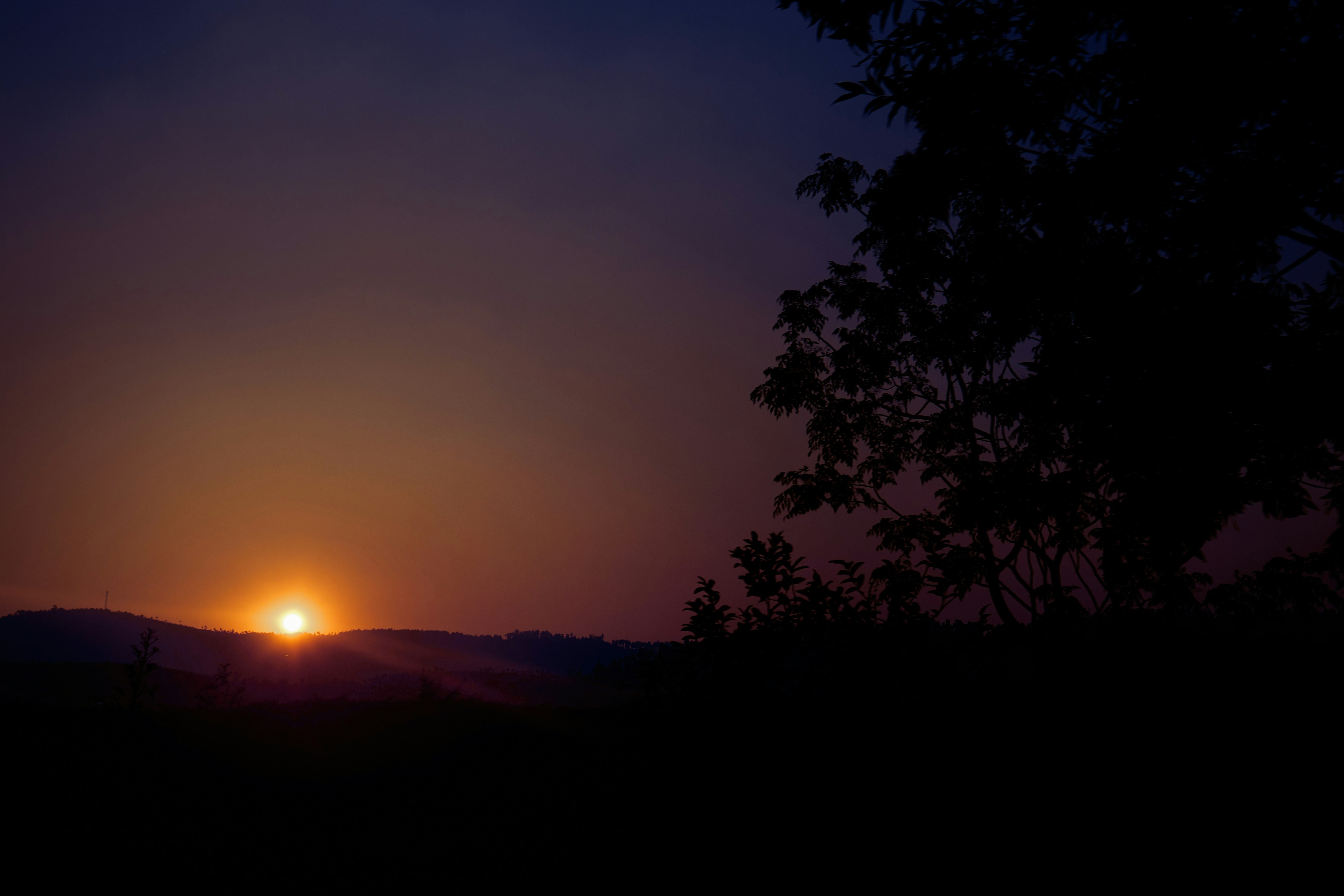 Photo by anthony_ran_