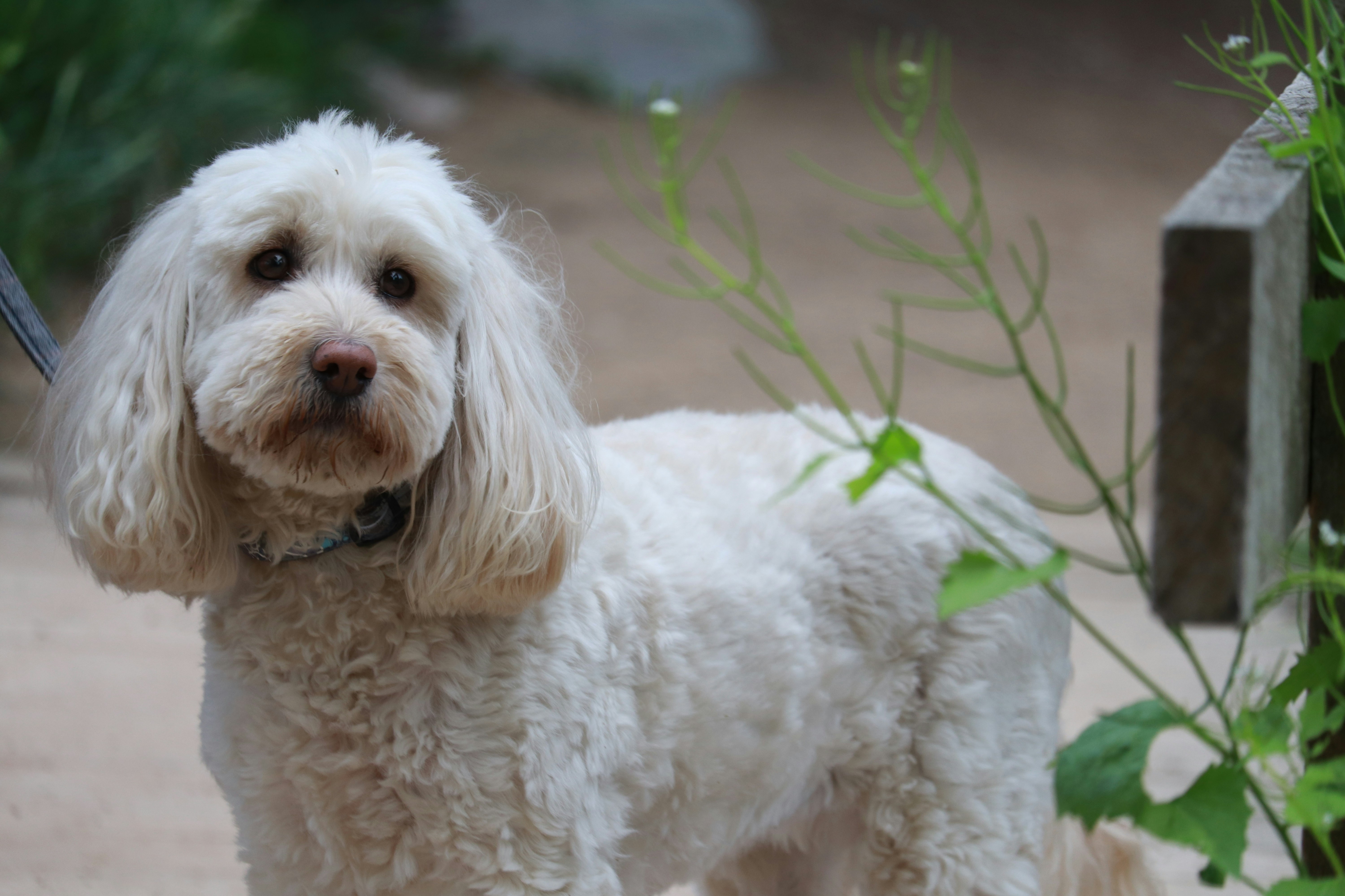 Photo by dhruv_padaliya